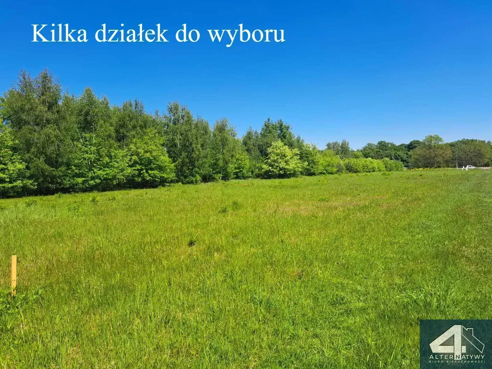Działki z zabudową letniskową przy lesie 1