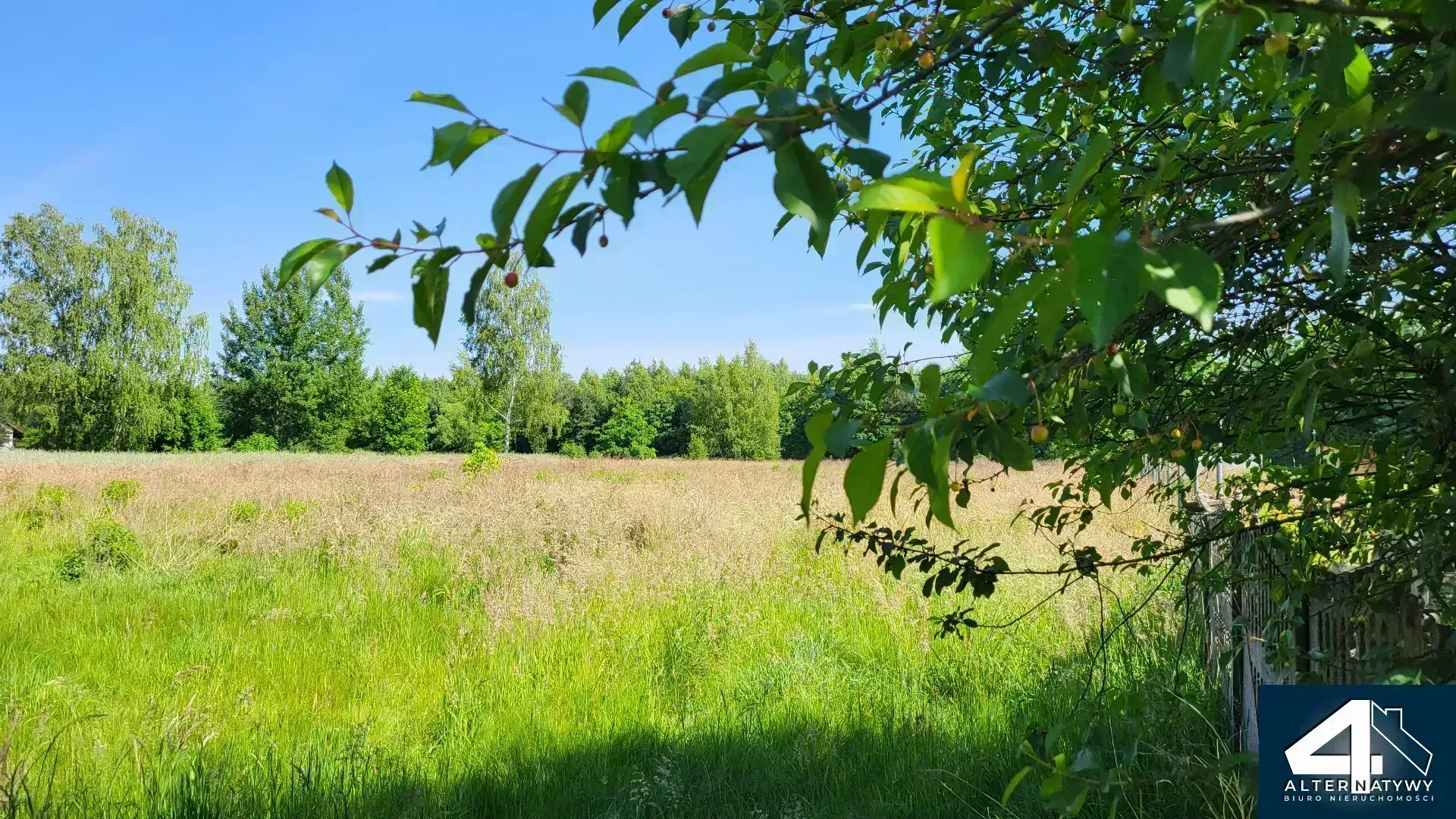 Działka budowlana w otoczeniu lasu 1