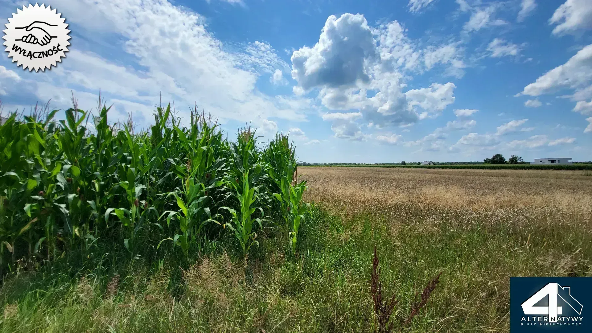 Bojszowy, działka budowlana 1001 m2 7