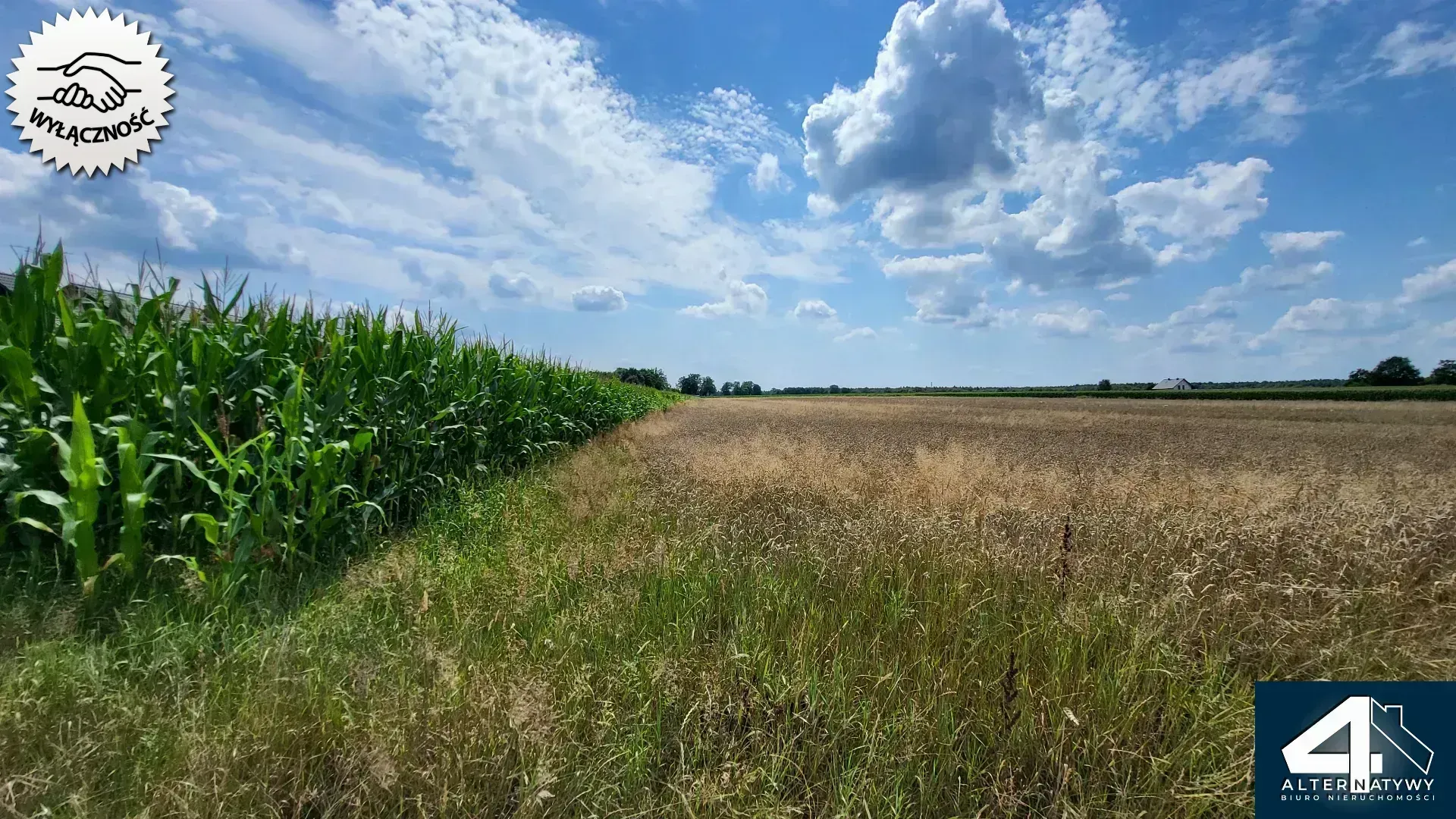 Bojszowy, działka budowlana 1001 m2 8