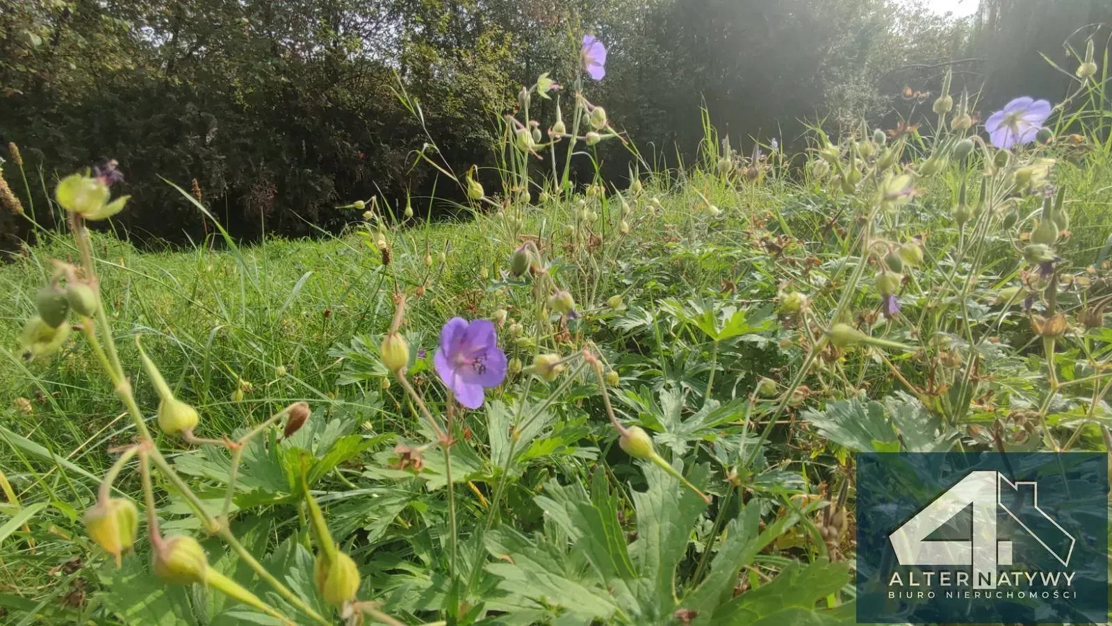 Działka bud.5ar+rol.28ar widok na Tatry, Skotniki 1