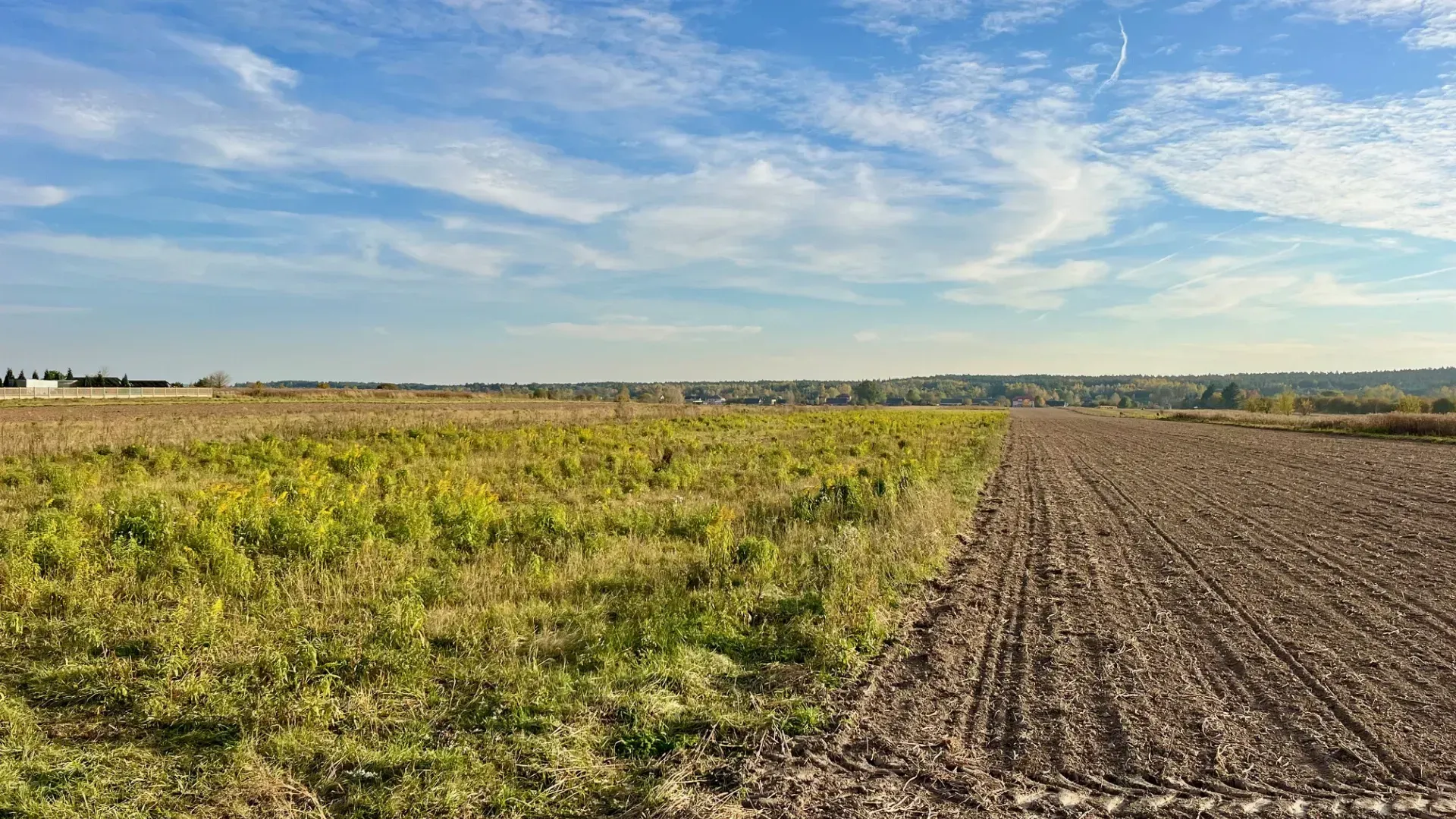 Duża działka inwestycyjna 6000 m2 budowlanego 13