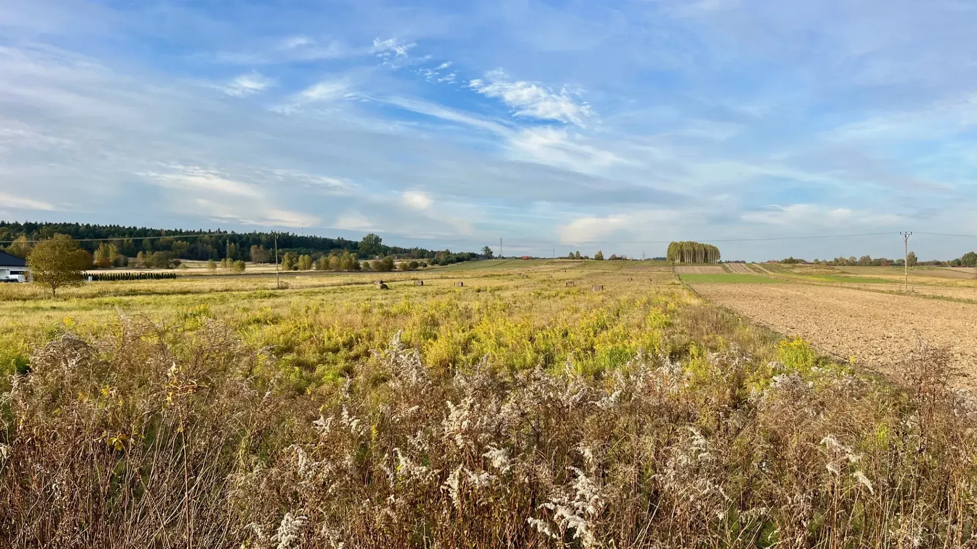 Duża działka inwestycyjna 6000 m2 budowlanego 14