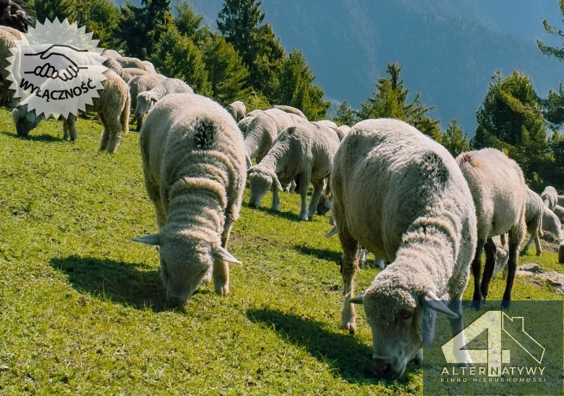 Działka na Gubałówce z widokiem na Tatry 2