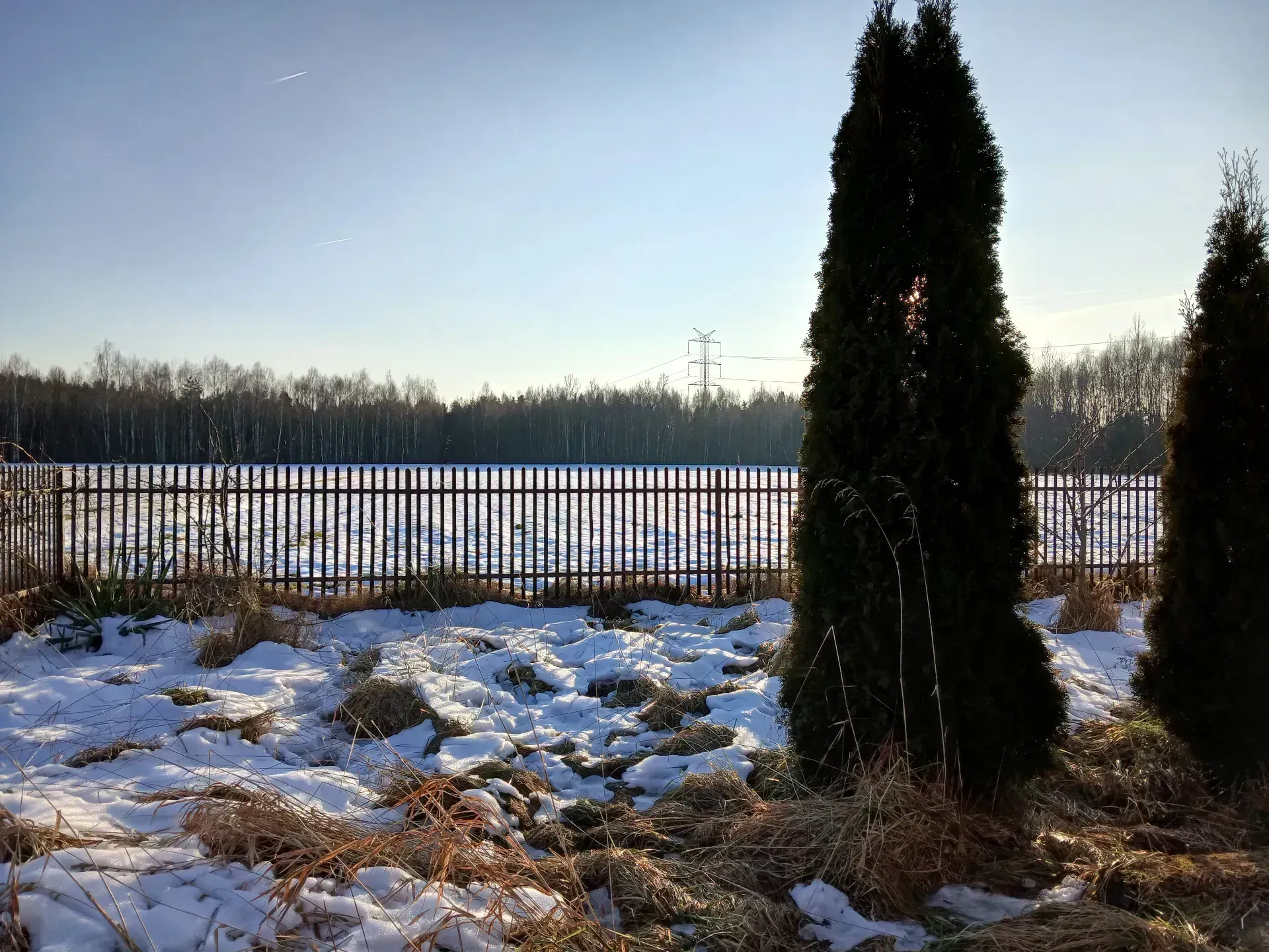 Okazja. Siedlisko z działką 3000m2. 5