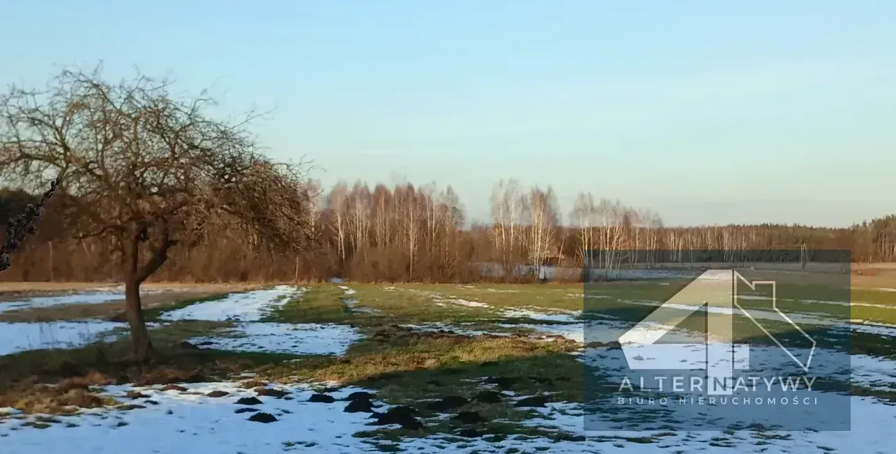 Rolno - siedliskowa - 4,7 ha. i 3,3 ha lasu, 2