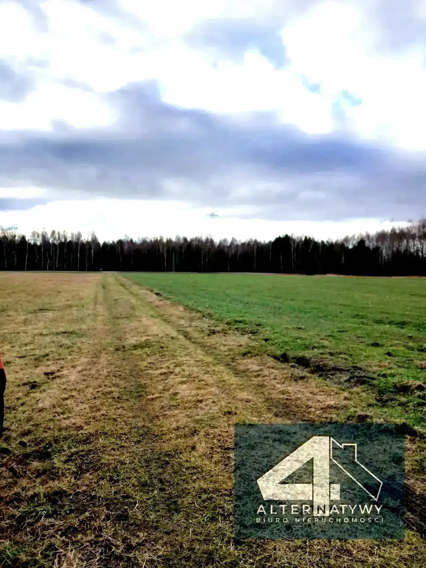 Rolno - siedliskowa - 2ha i 2 ha lasu 2