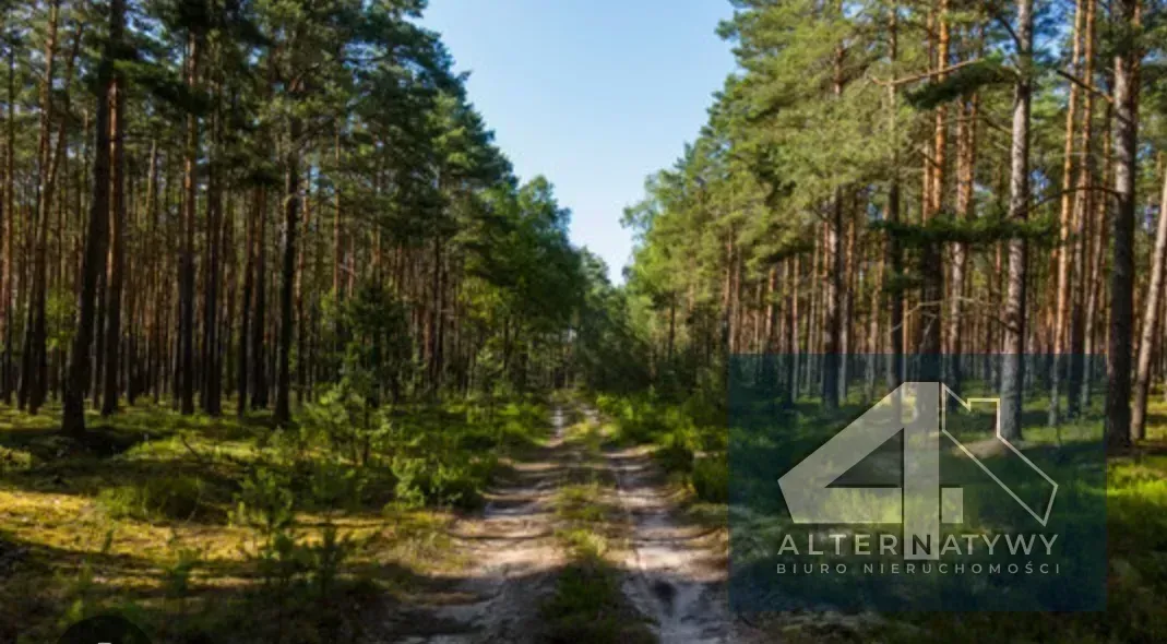 Działka leśna 5,8ha gm. Kamieńsk 1