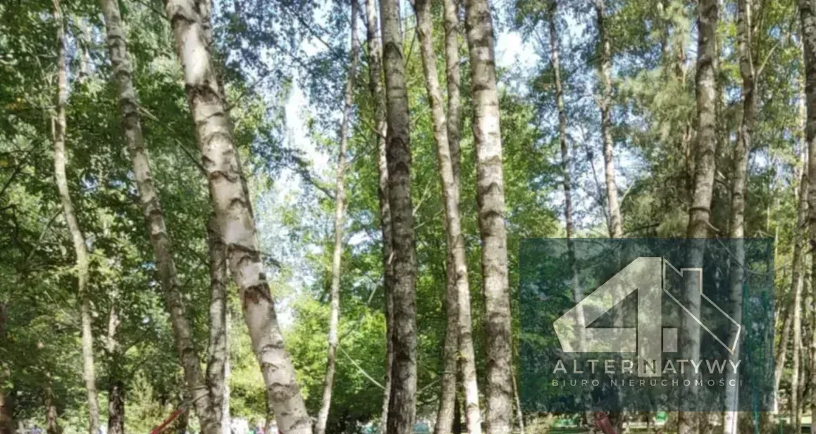 Działka leśna 5,8ha gm. Kamieńsk 2