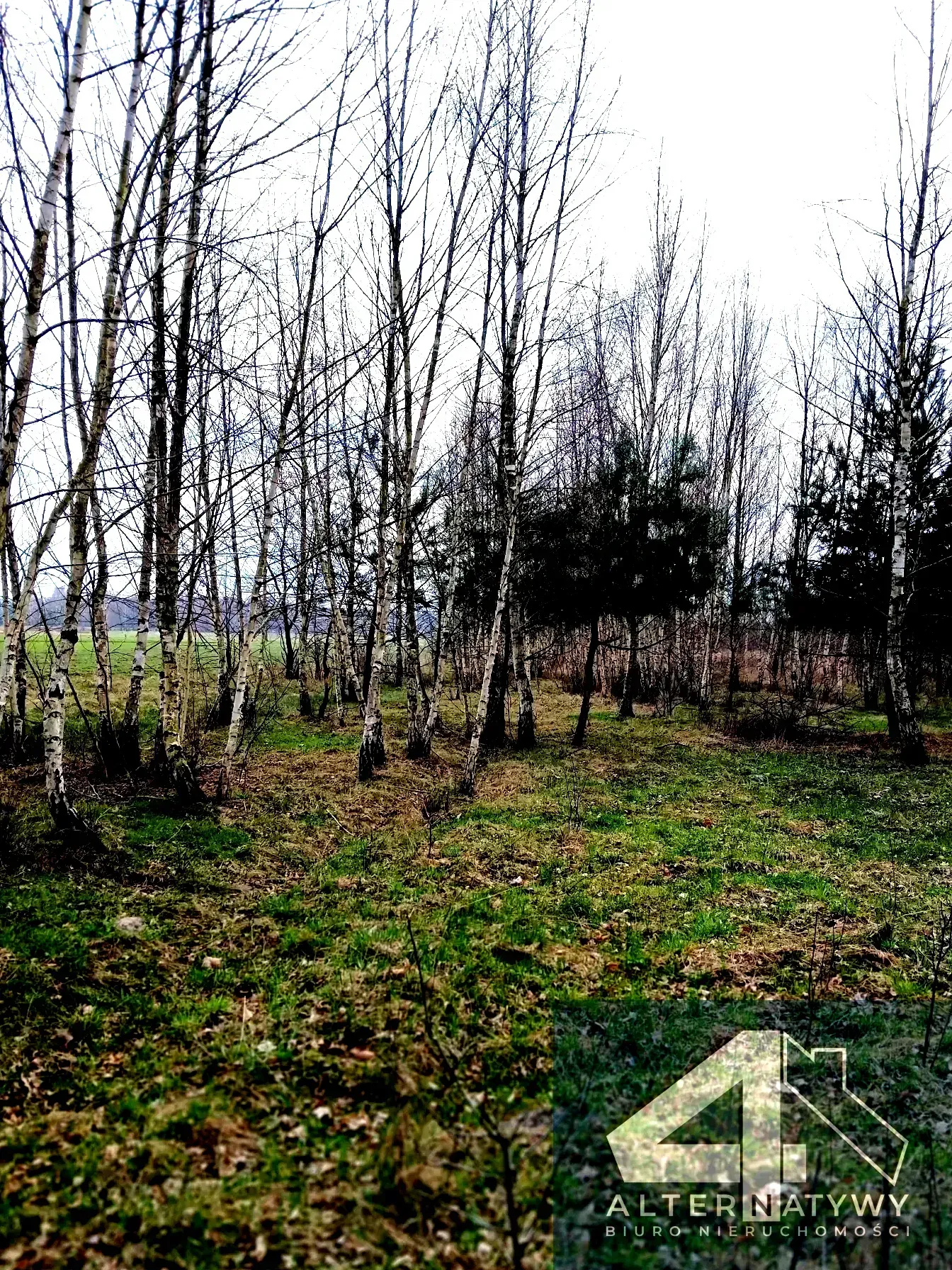 Okazja, trzy budynki murowane, duża działka. 8