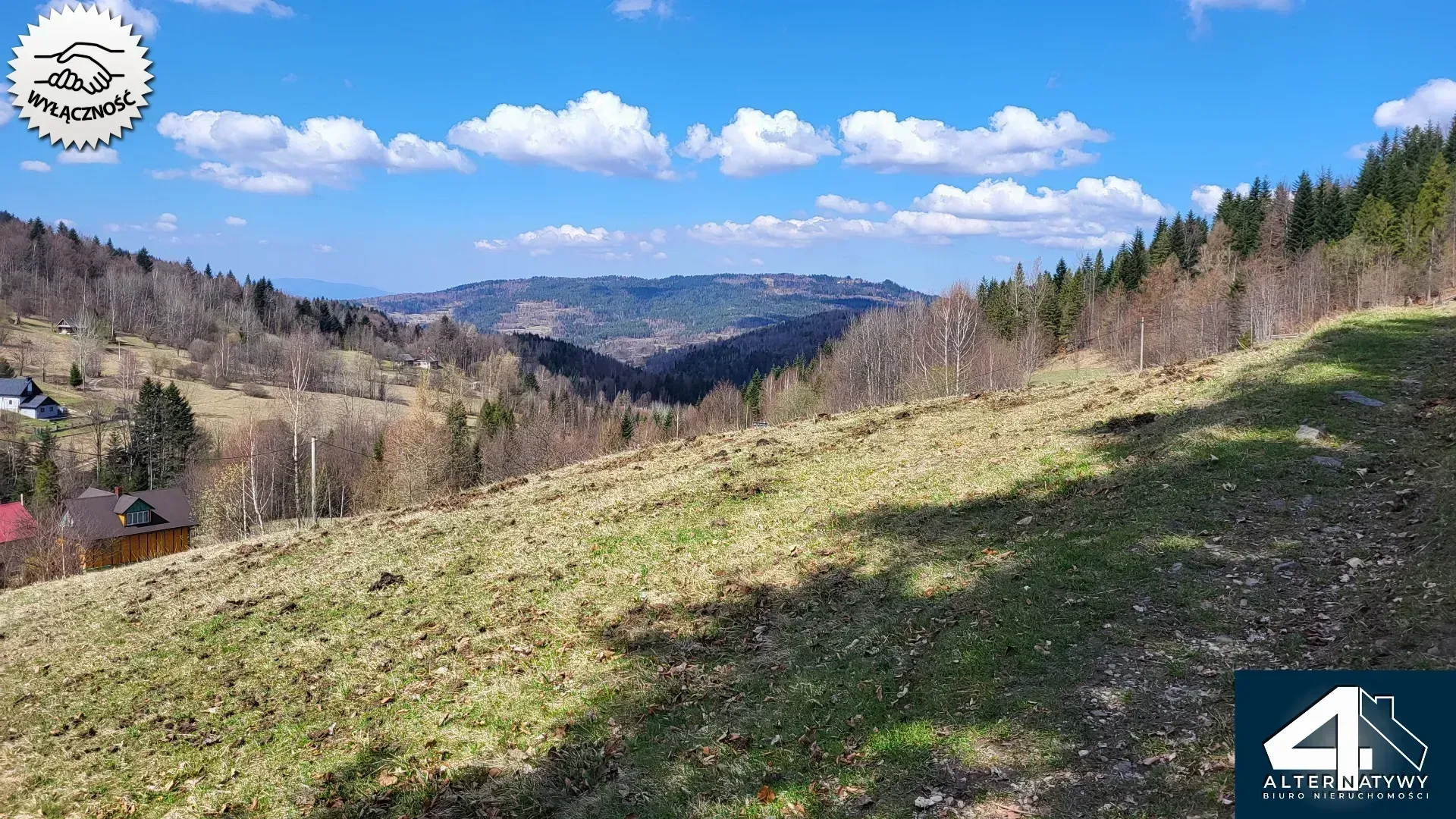 Działka budowlana z własnym lasem 5