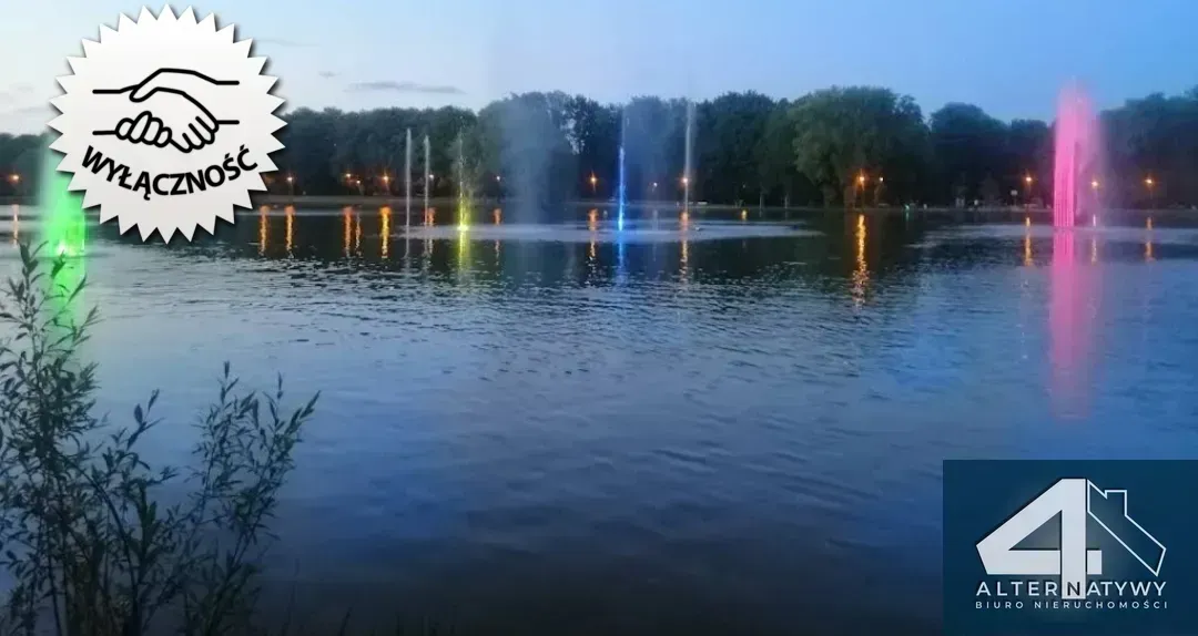 Ustawne obok Zalewu Nowohuckiego 1