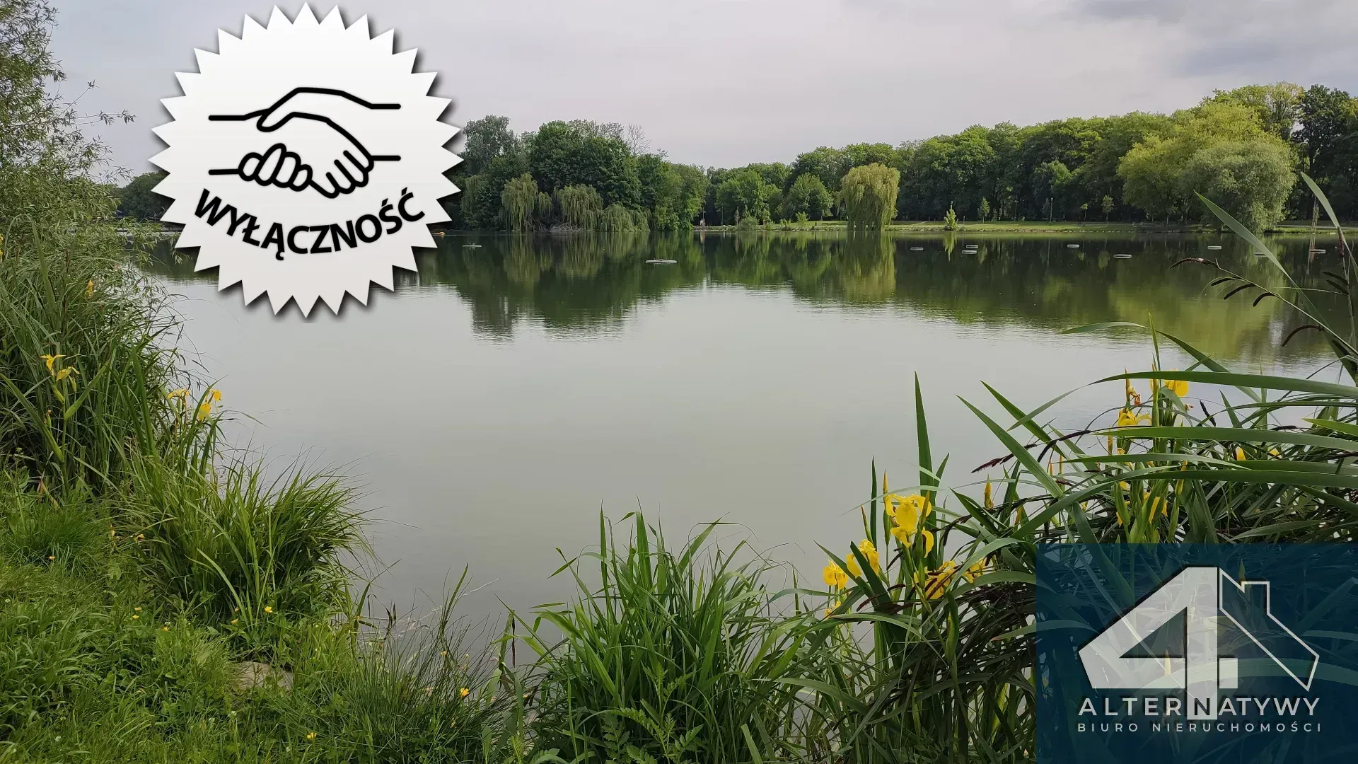 Ustawne obok Zalewu Nowohuckiego 2