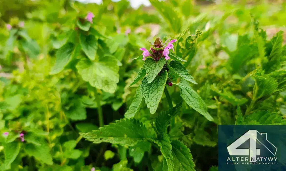 Działka Budowlana FV Centrum Piotrków Tryb. 5