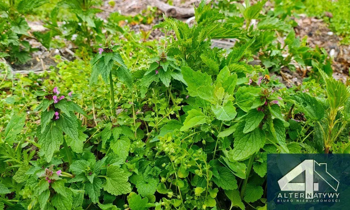 Działka Budowlana FV Centrum Piotrków Tryb. 3