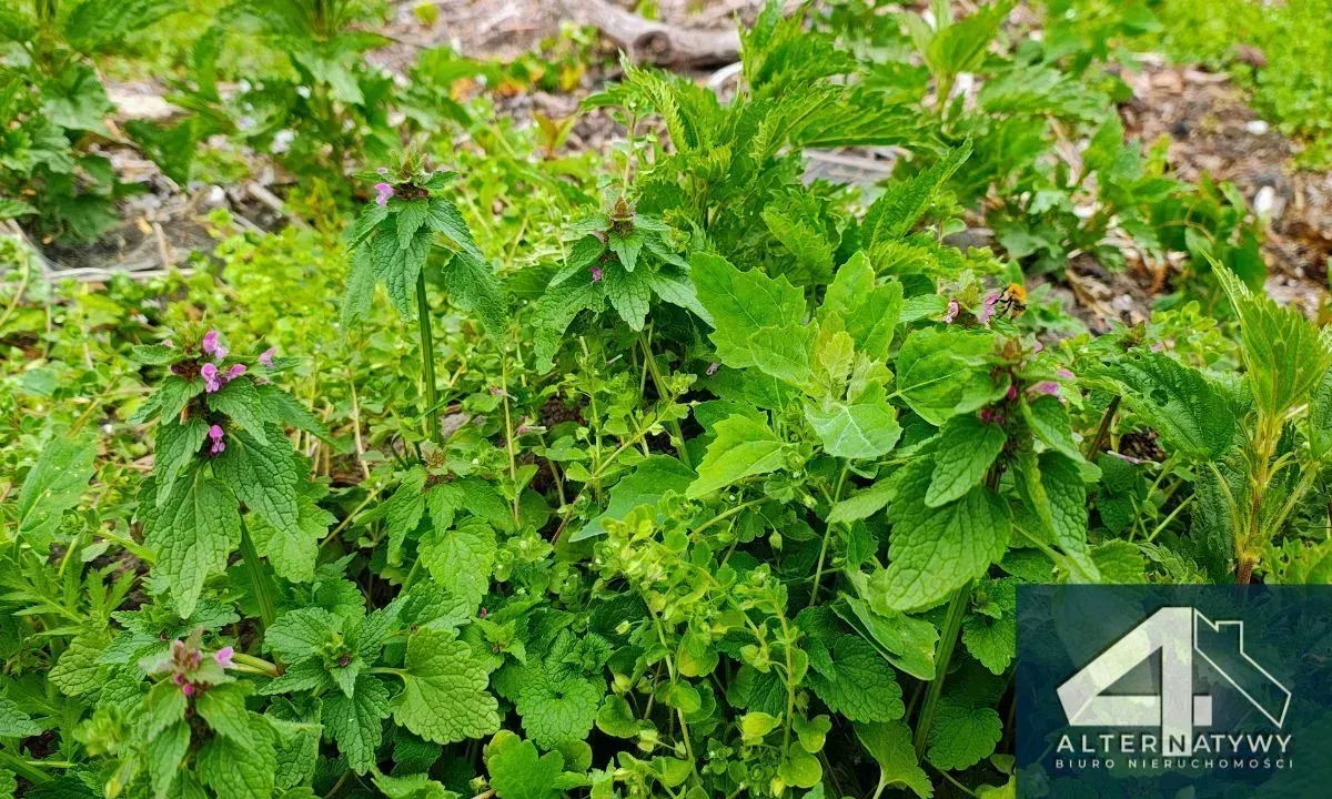 Działka Budowlana FV Centrum Piotrków Tryb. 5