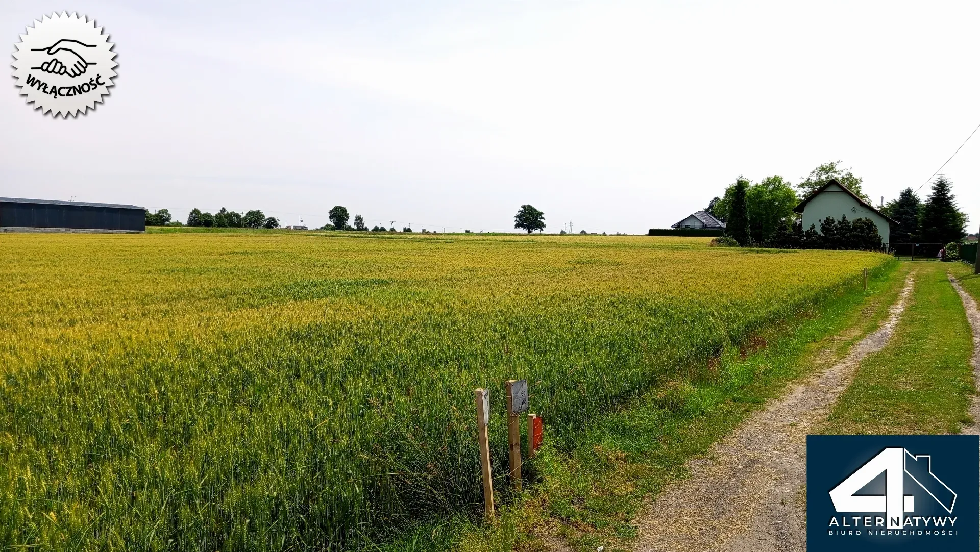 Działka budowlana w Bieruniu (Ściernie) 1