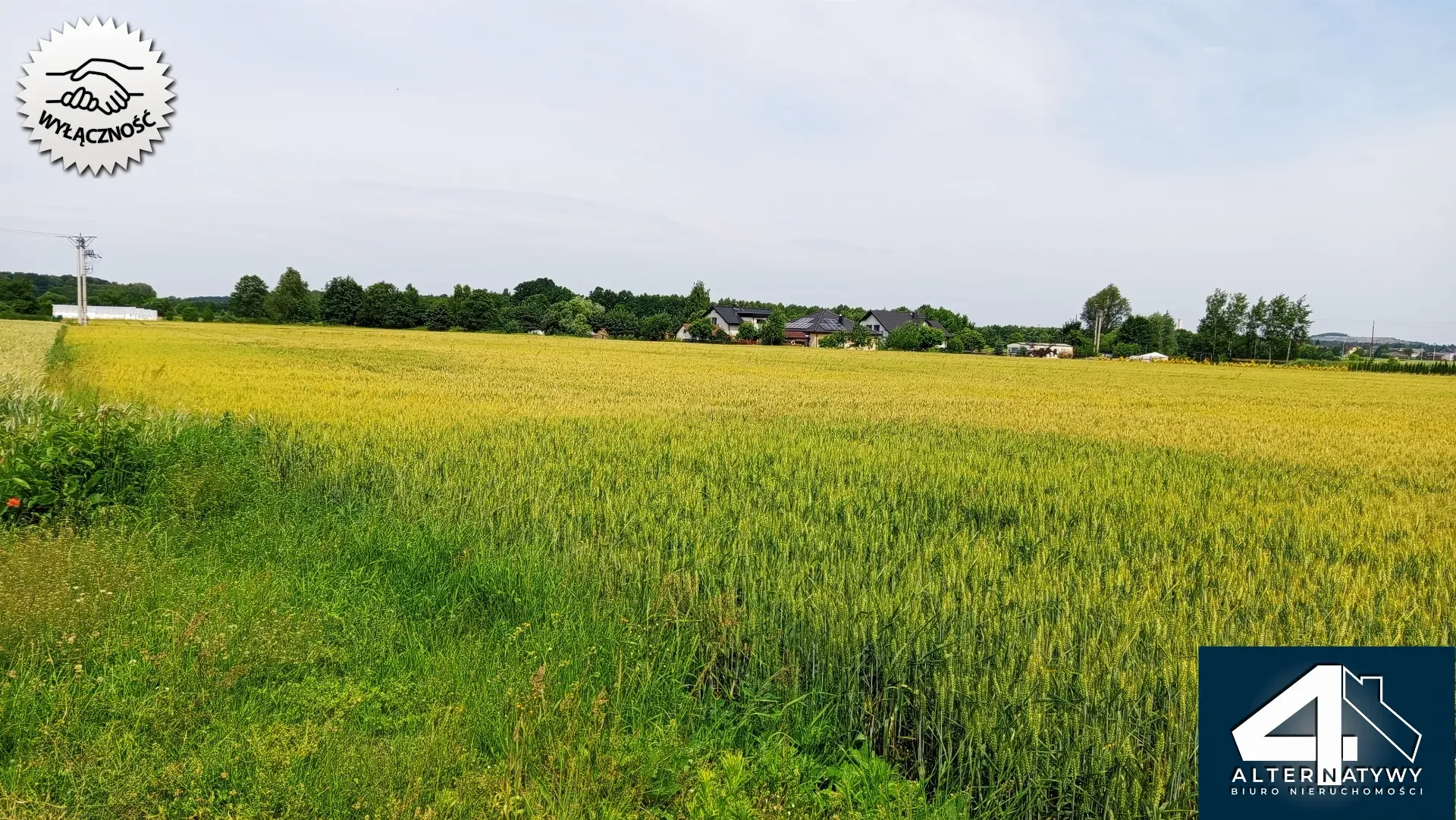 Działka budowlana w Bieruniu (Ściernie) 6