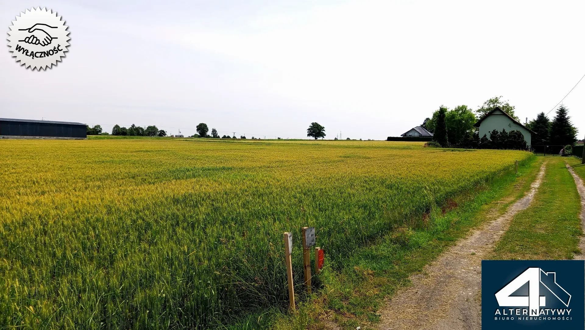 Działka budowlana w Bieruniu (Ściernie) 7