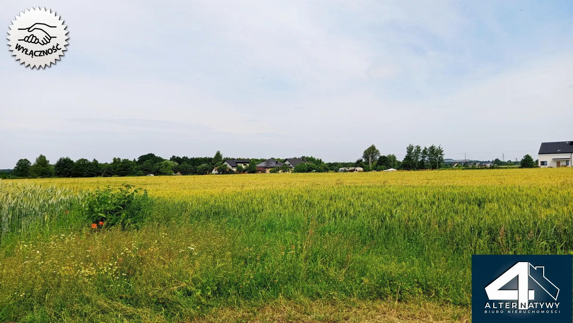 Działka budowlana w Bieruniu (Ściernie) 9