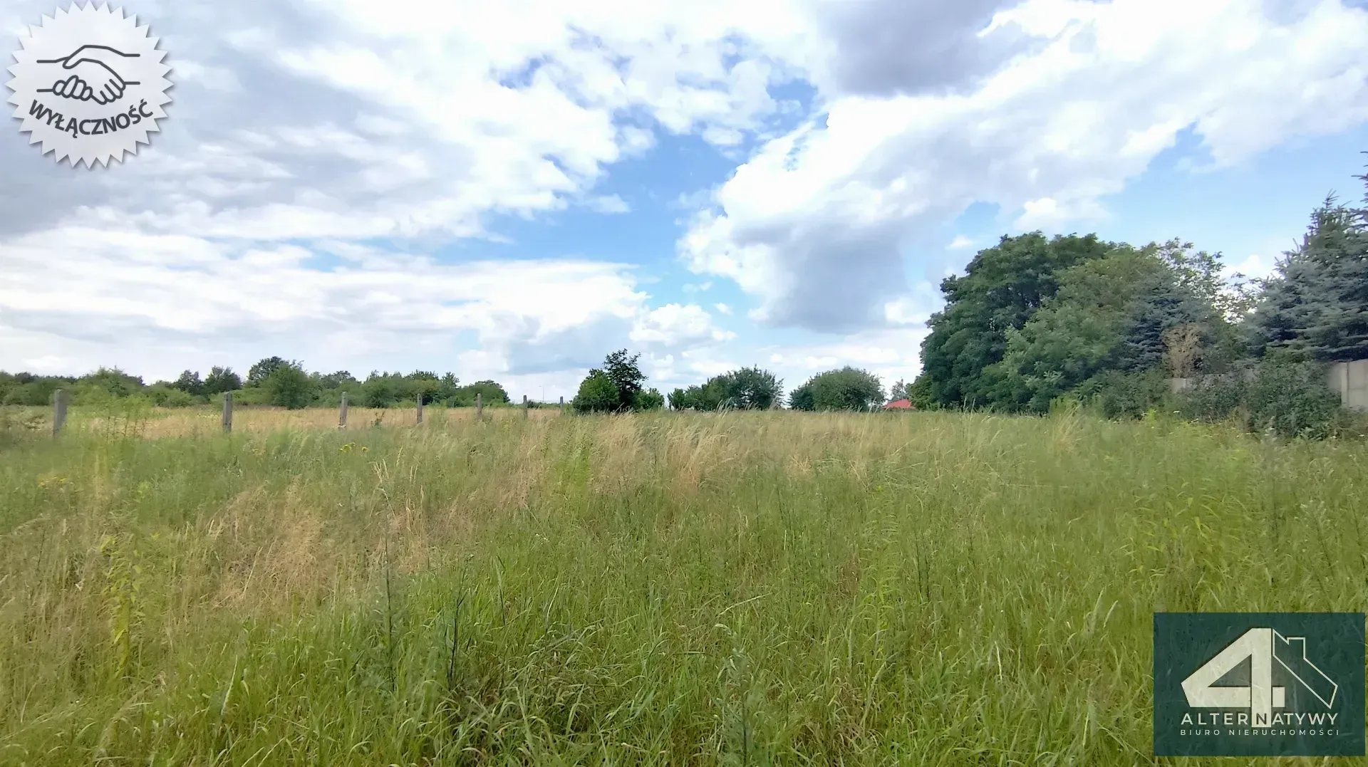 Duża zadbana działka - blisko lasu i kąpieliska 2