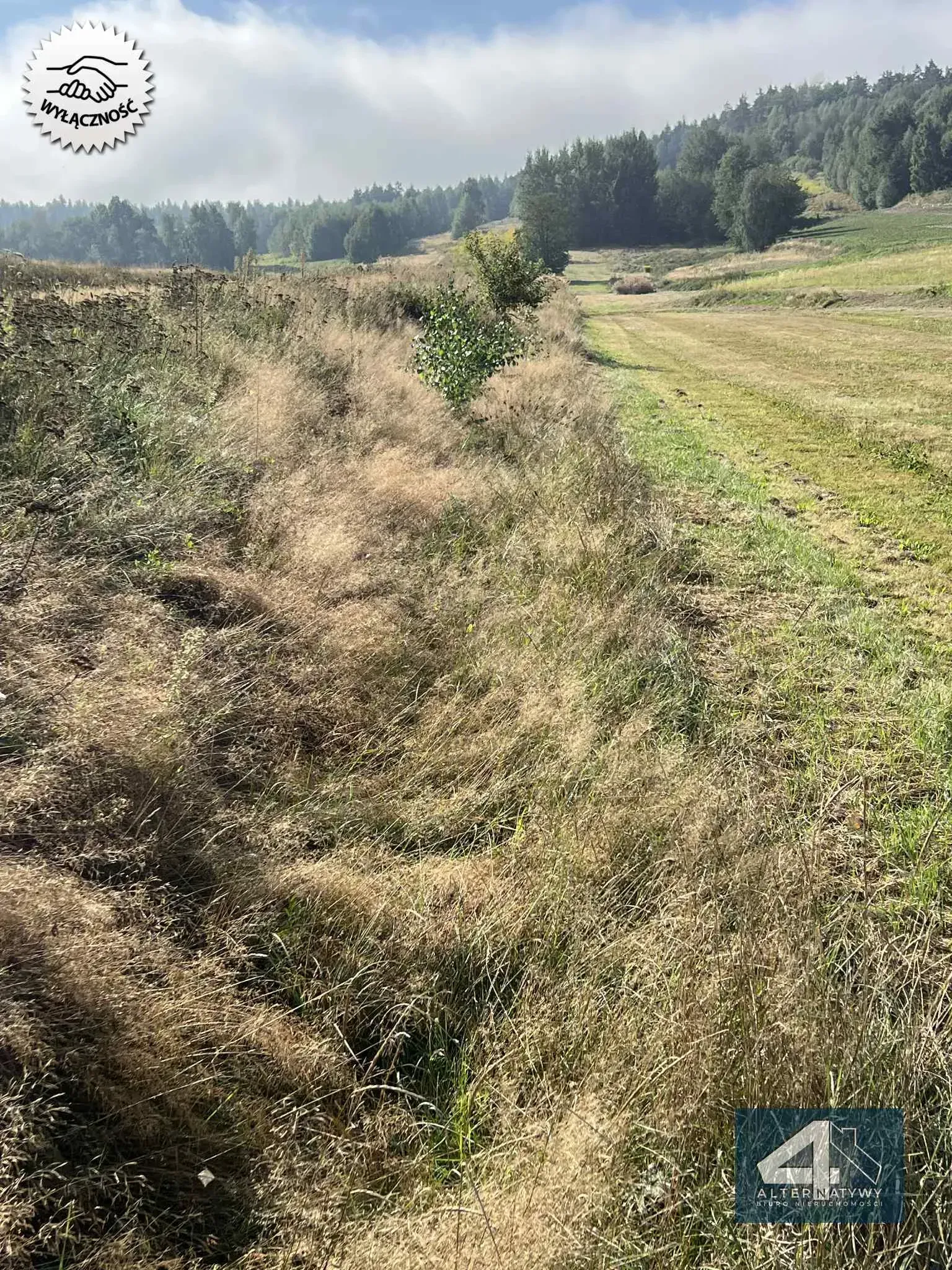 Działka z potencjałem 3