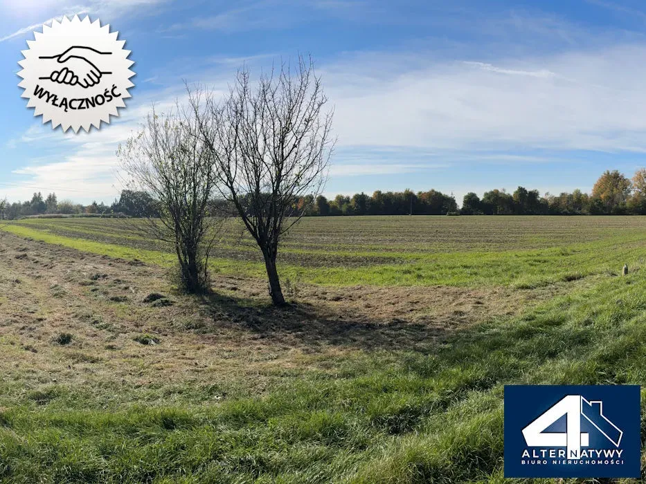Ostatnie w okolicy Balic inwestycyjne 4,7 ha 2