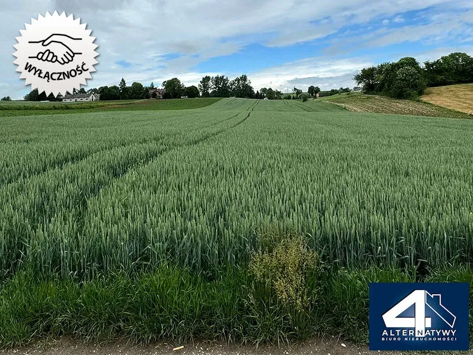 Dla dewelopera - działka w trakcie zmiany Mpzp 2