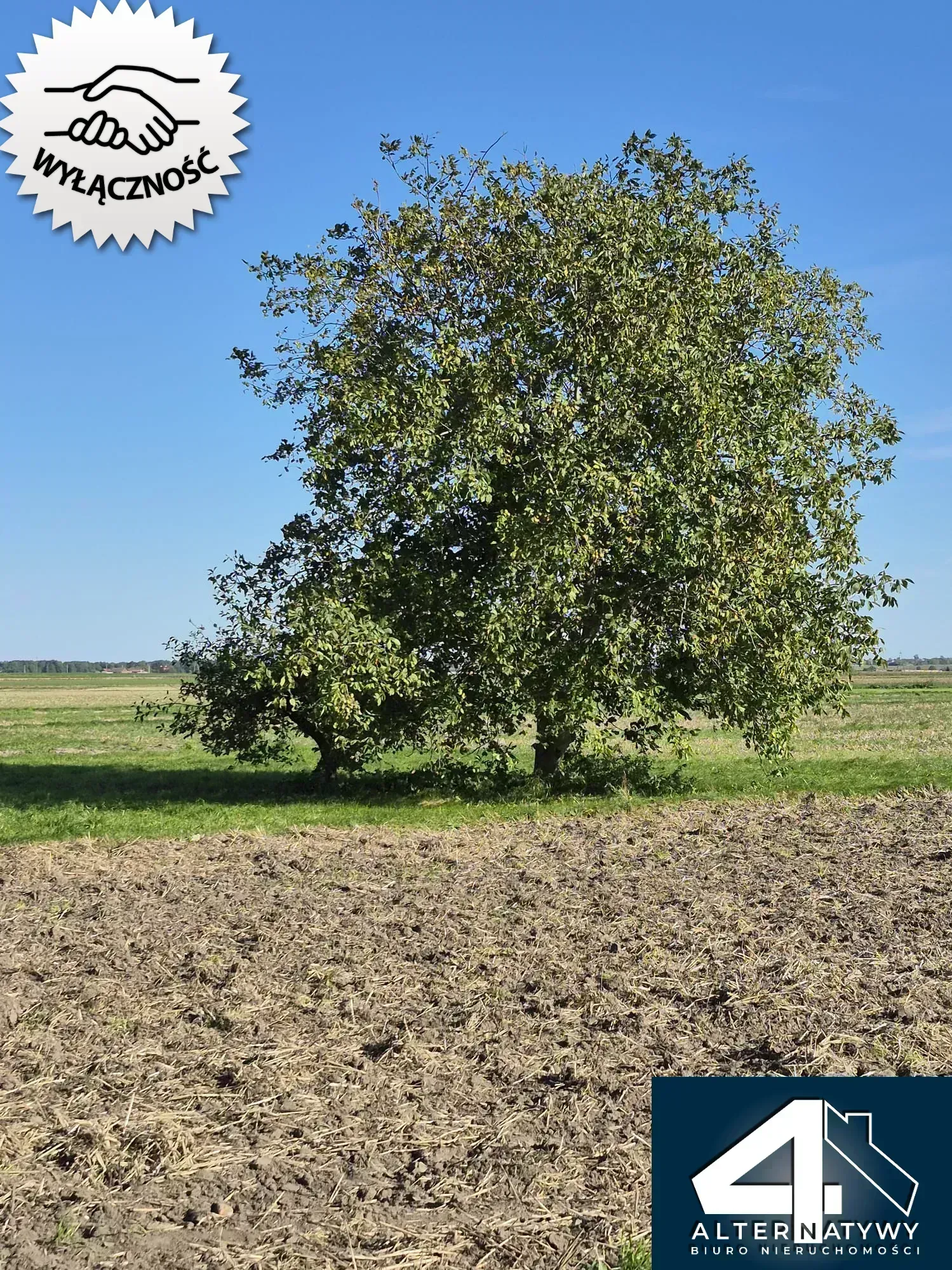 Dom na wsi szuka nabywcy. 15