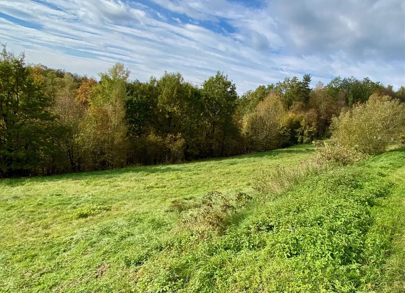 Widokowa działka 11 ar 15 min od Krakowa! 2