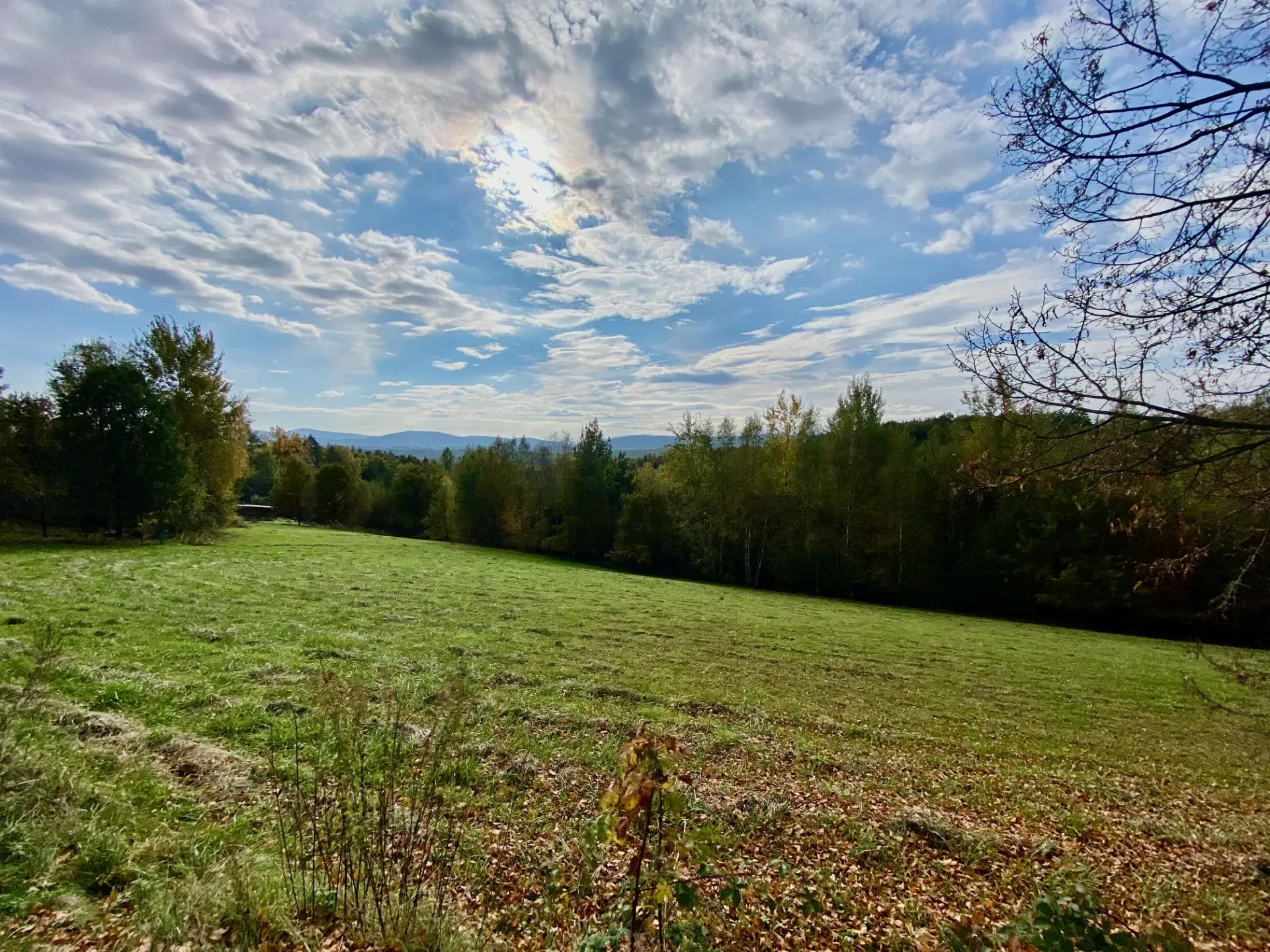 Widokowa działka 11 ar 15 min od Krakowa! 4