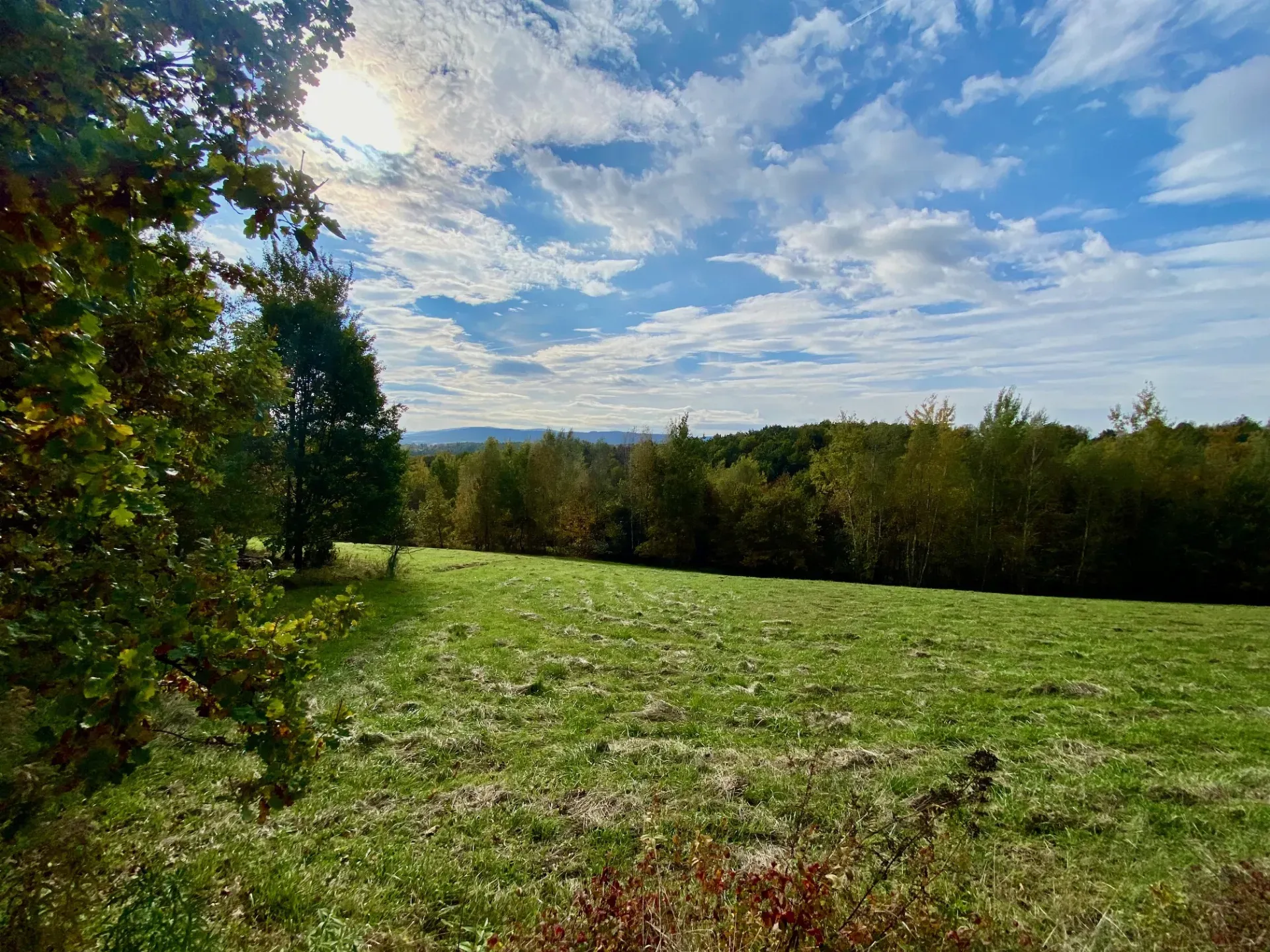 Widokowa działka 11 ar 15 min od Krakowa! 5