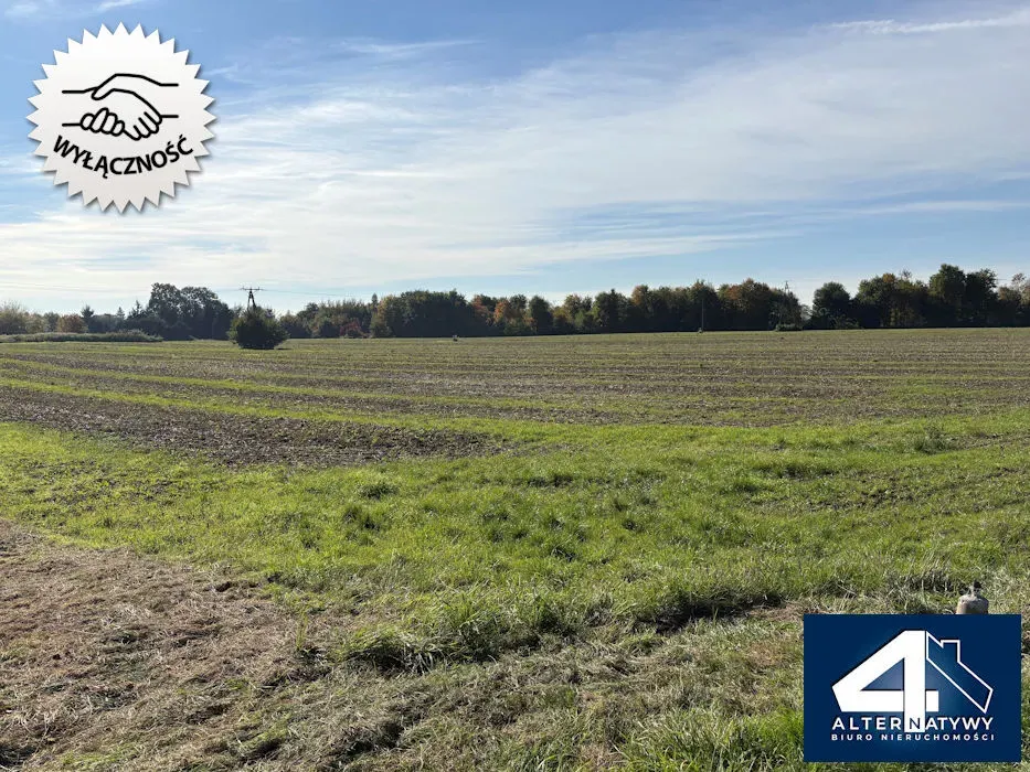 Ostatnie w okolicy Balic inwestycyjne 4,7 ha 6