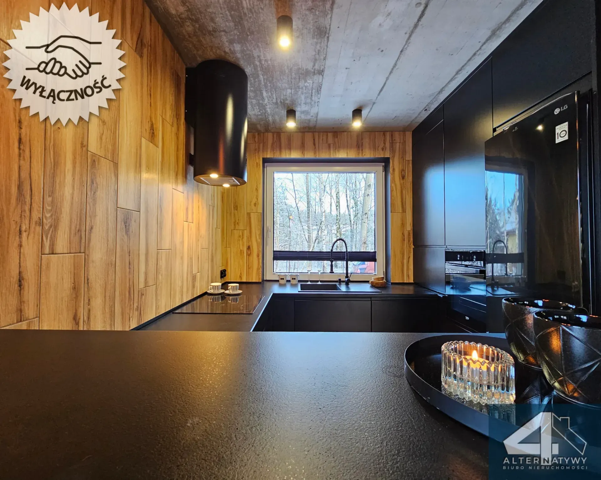 Nowoczesny dom do wynajęcia Smoczka 8