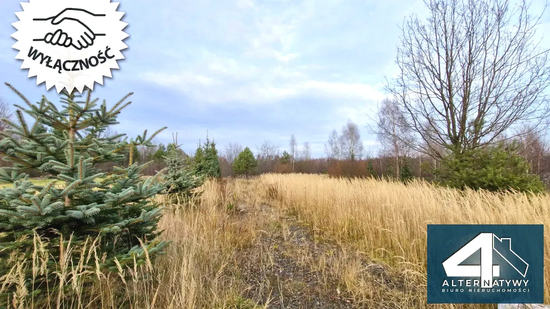 Malownicza działka we wsi Luta 7