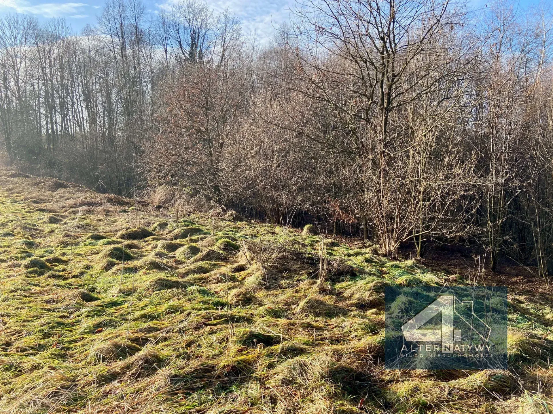 Działka 12 arów spokojna okolica! 4