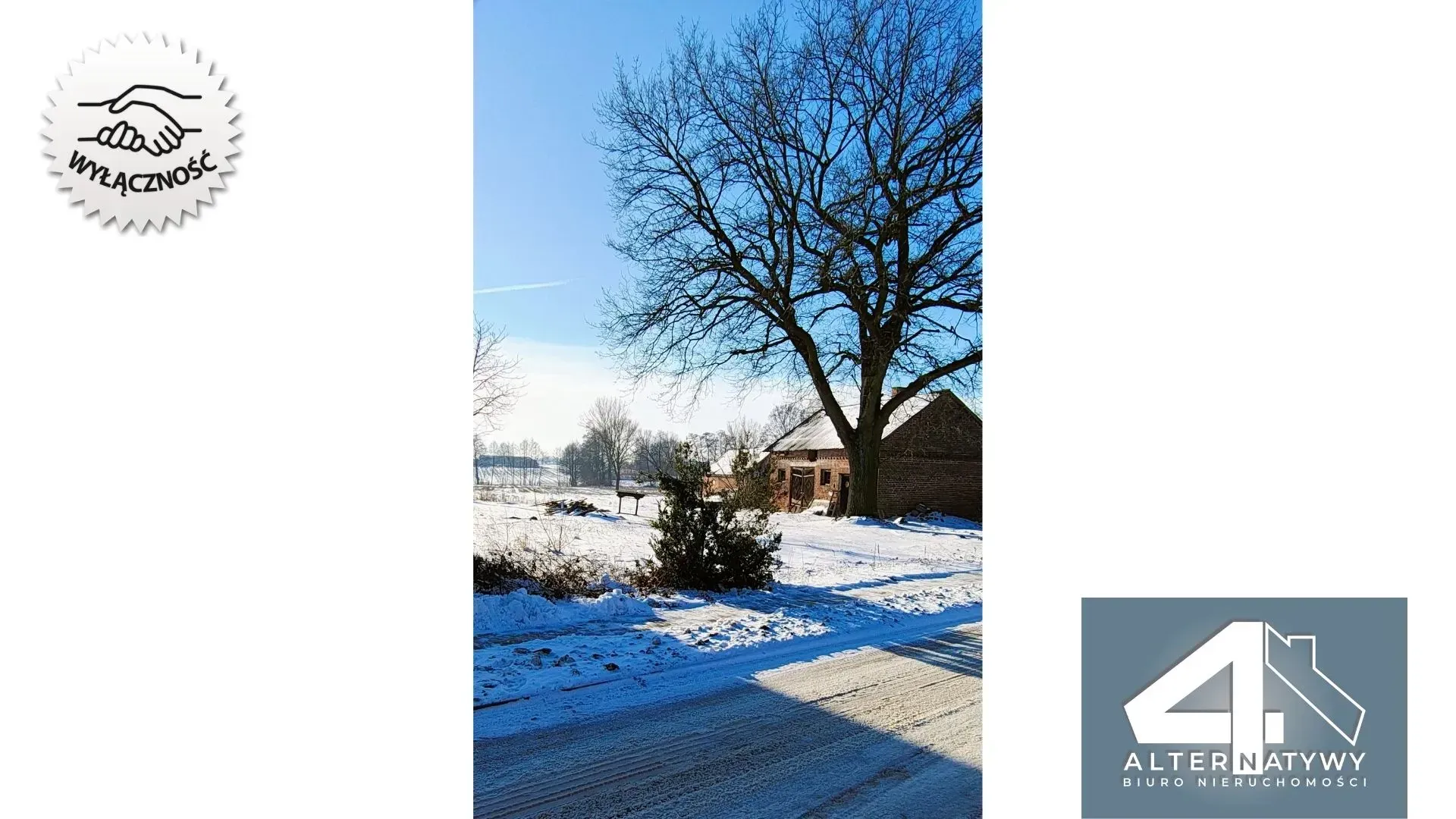 Działka z potencjałem na Twój dom z ogrodem 6