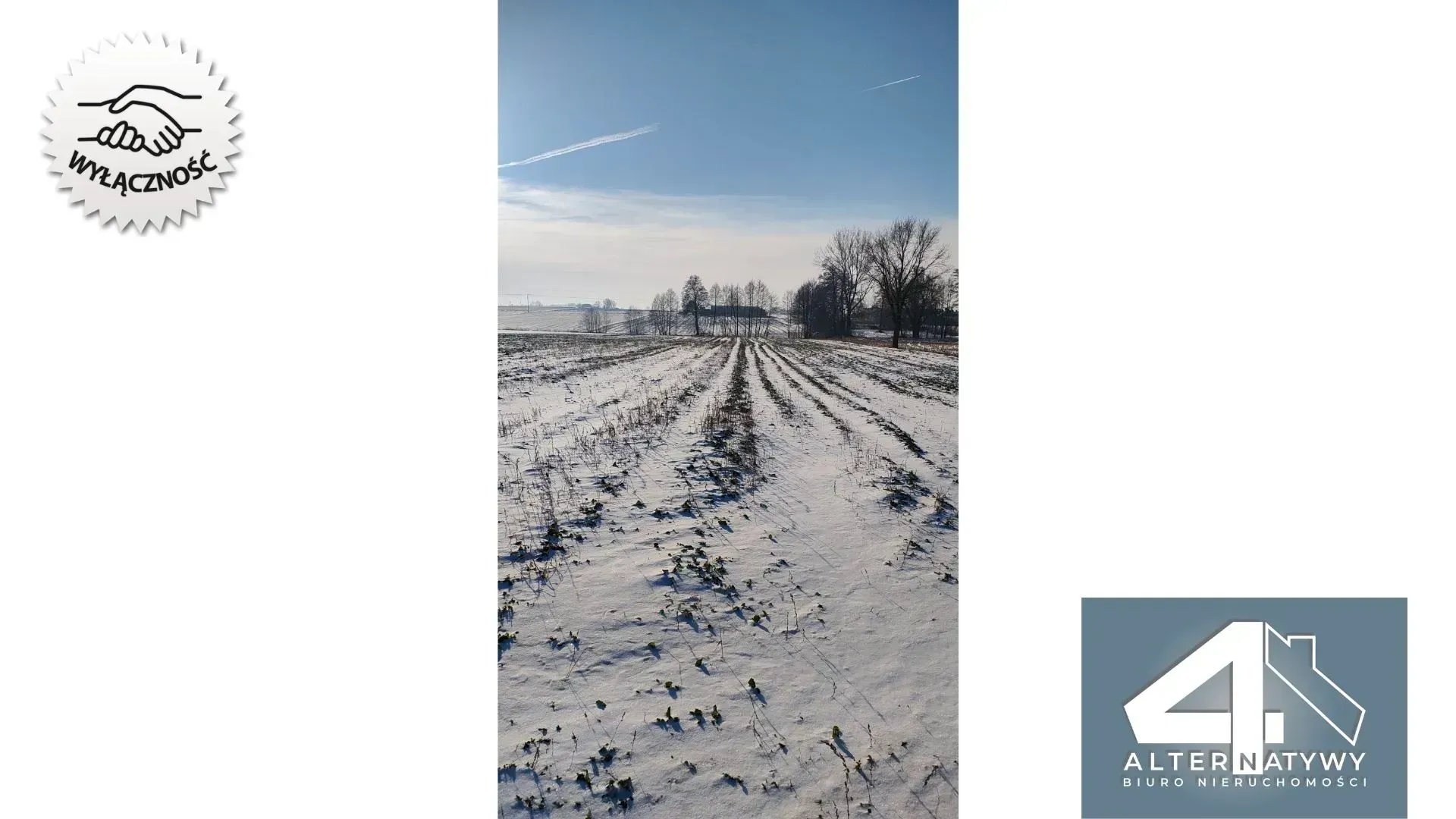 Działka z potencjałem na Twój dom z ogrodem 6