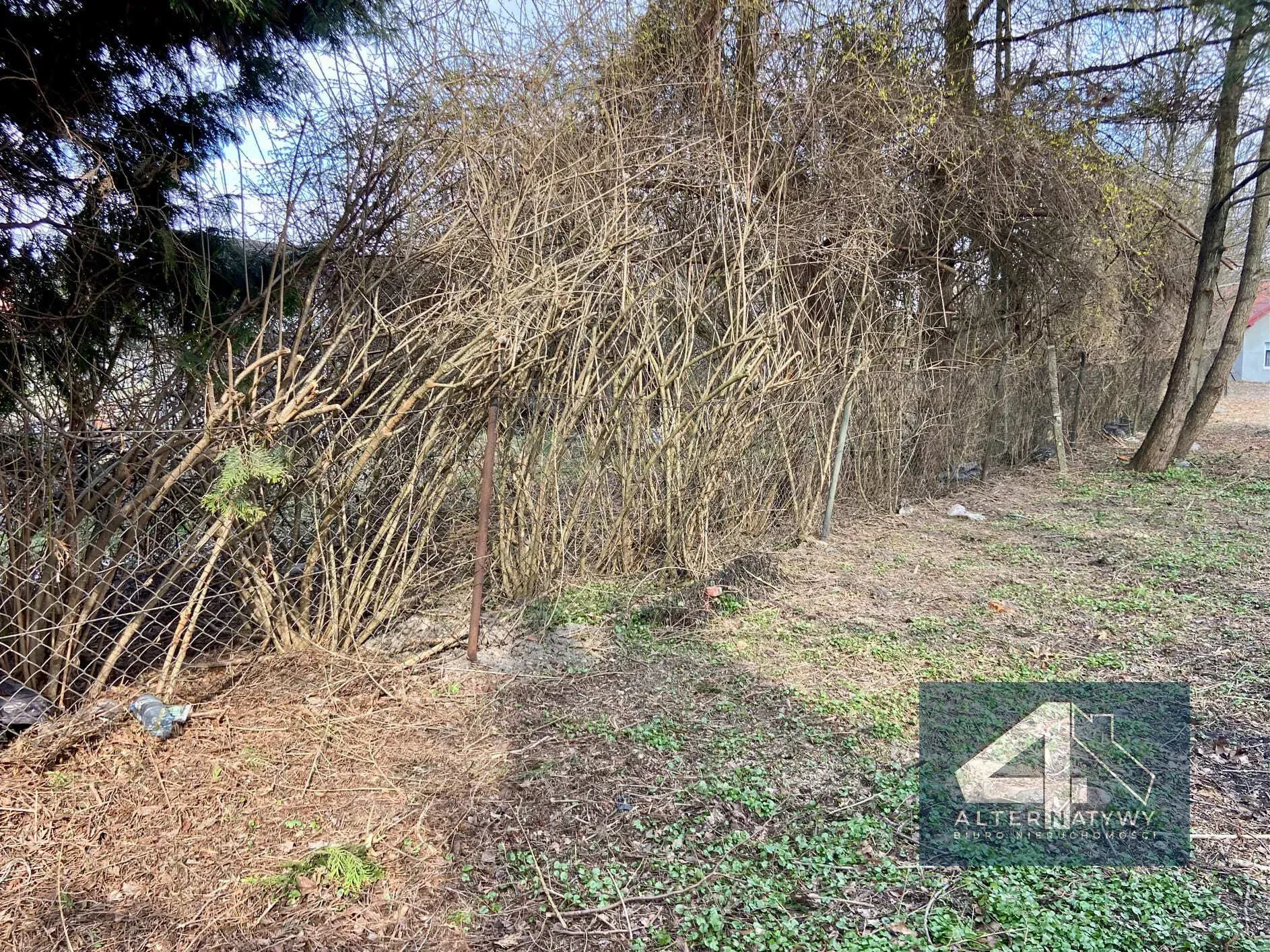 Działka 6 arów z projektem - Olszanica! 4