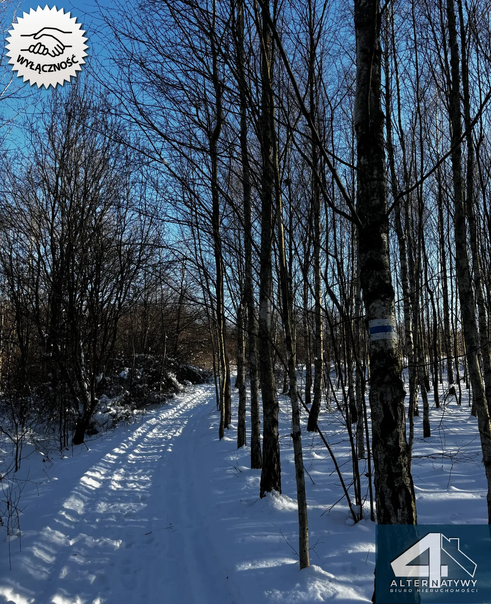 Wyjątkowa działka u podnóża Gór, gm. Bieliny 5