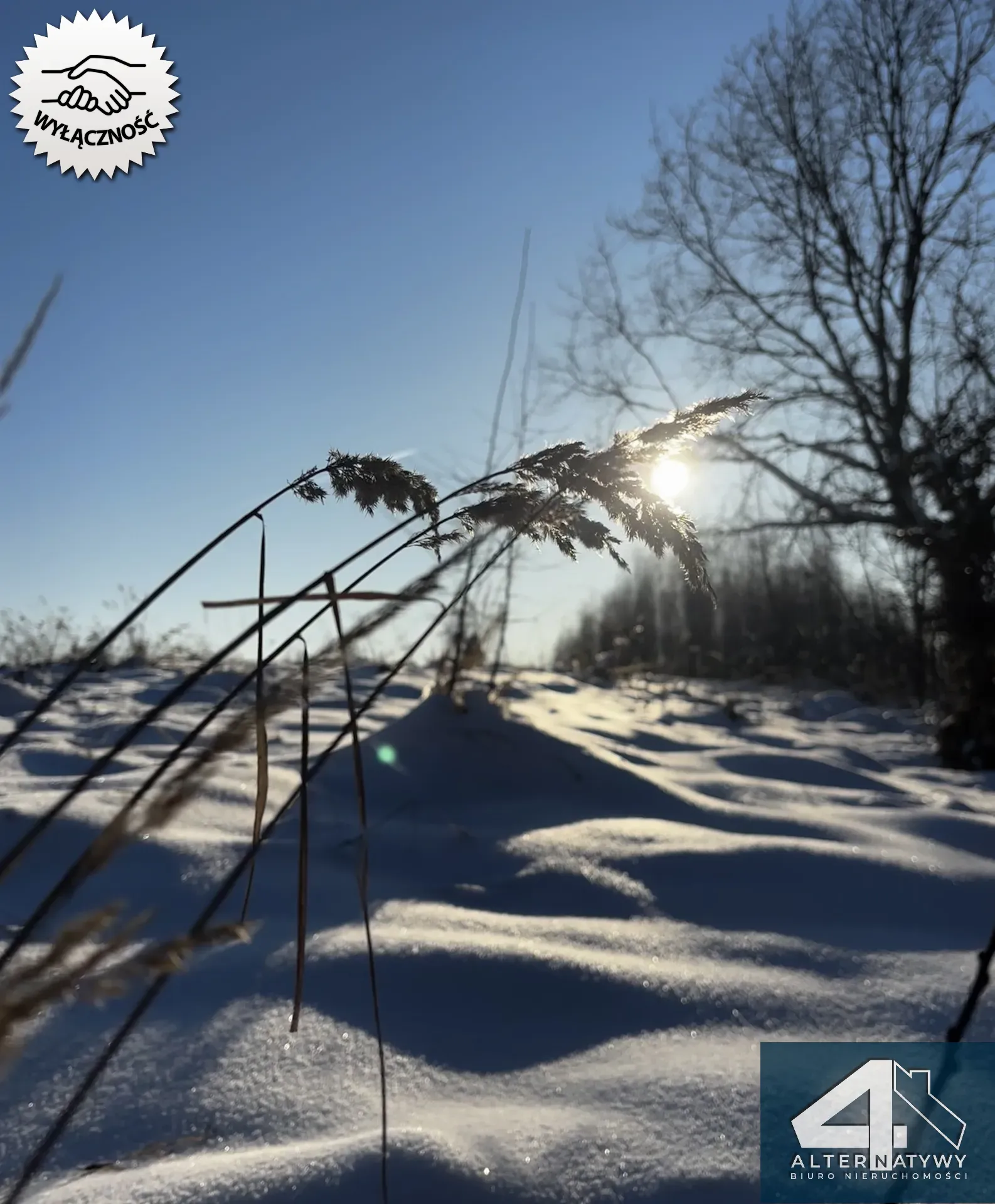 Wyjątkowa działka u podnóża Gór, gm. Bieliny 9
