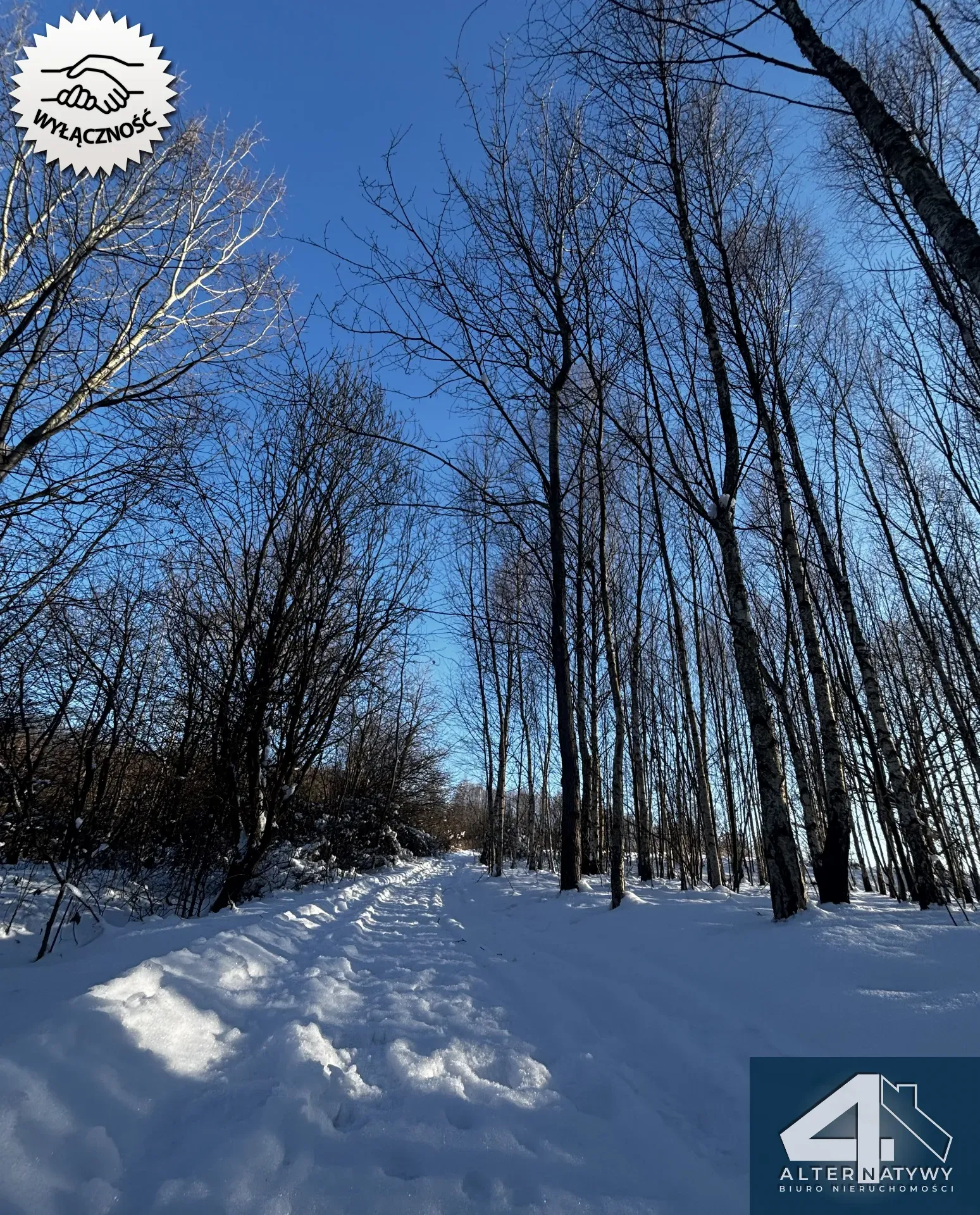 Wyjątkowa działka u podnóża Gór, gm. Bieliny 11