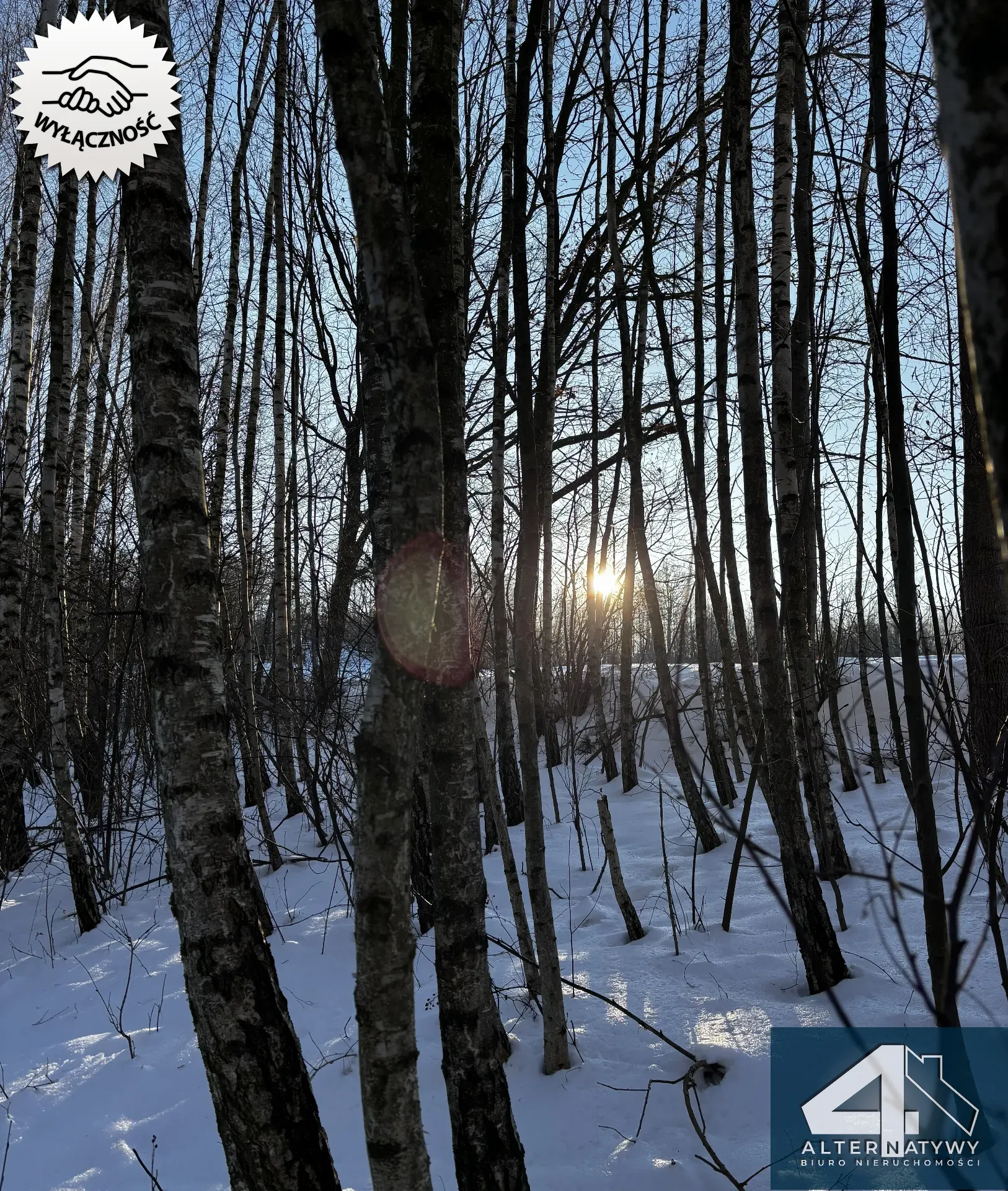 Wyjątkowa działka u podnóża Gór, gm. Bieliny 13