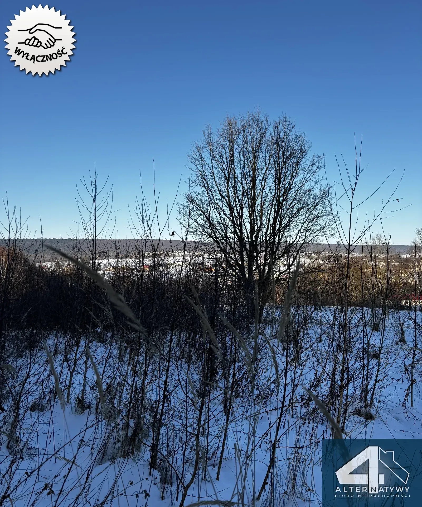 Wyjątkowa działka u podnóża Gór, gm. Bieliny 12