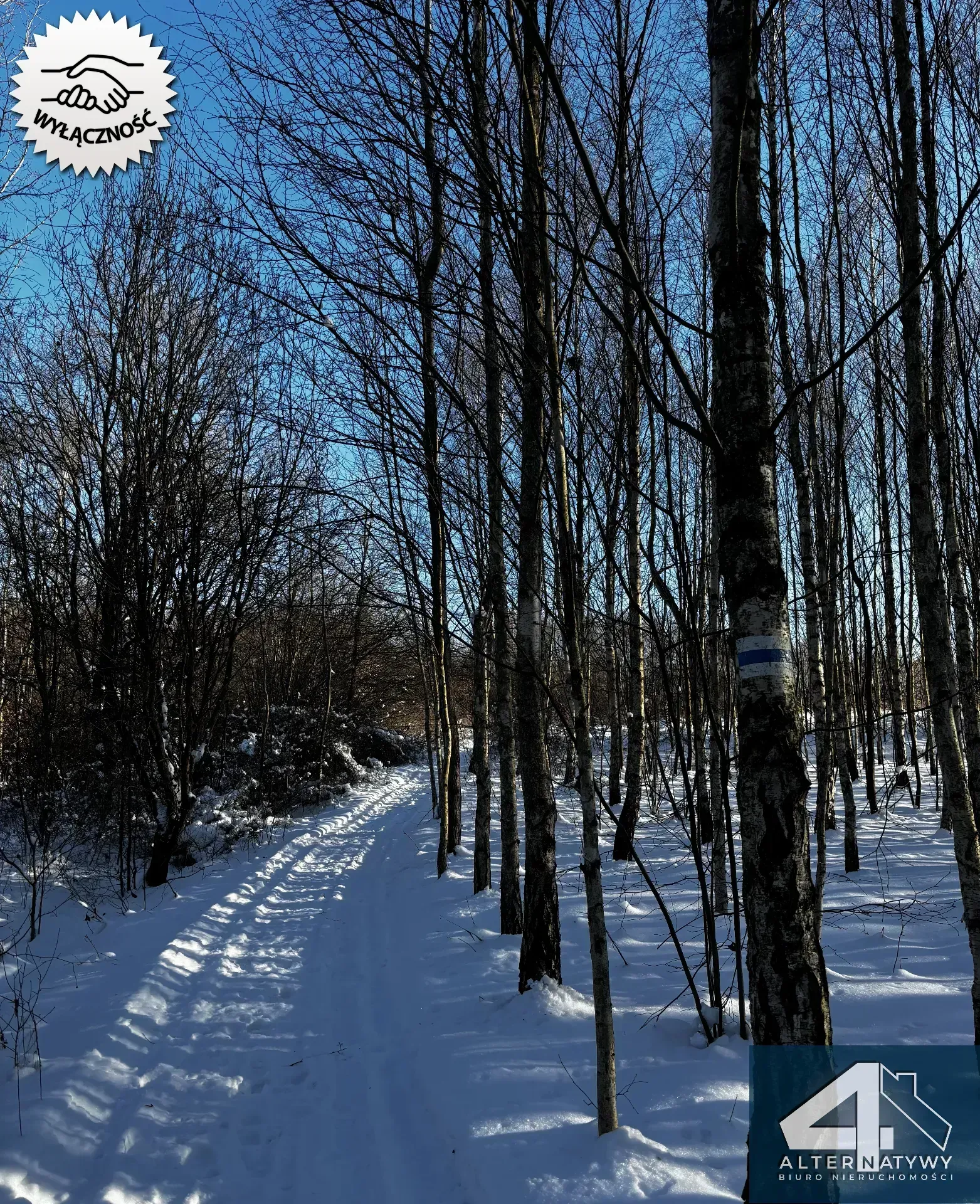 Wyjątkowa działka u podnóża Gór, gm. Bieliny 7