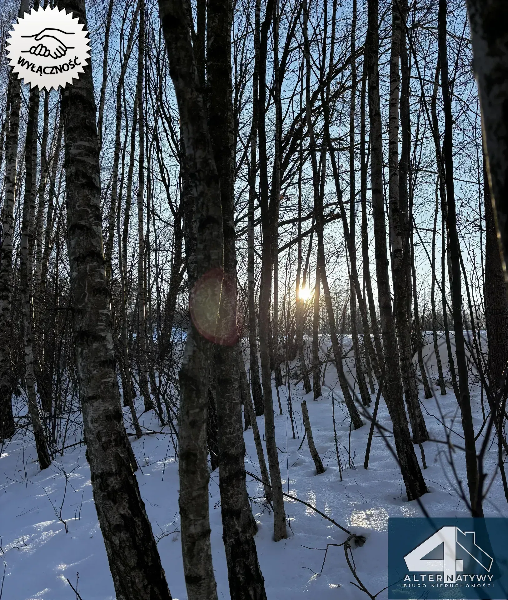 Wyjątkowa działka u podnóża Gór, gm. Bieliny 13