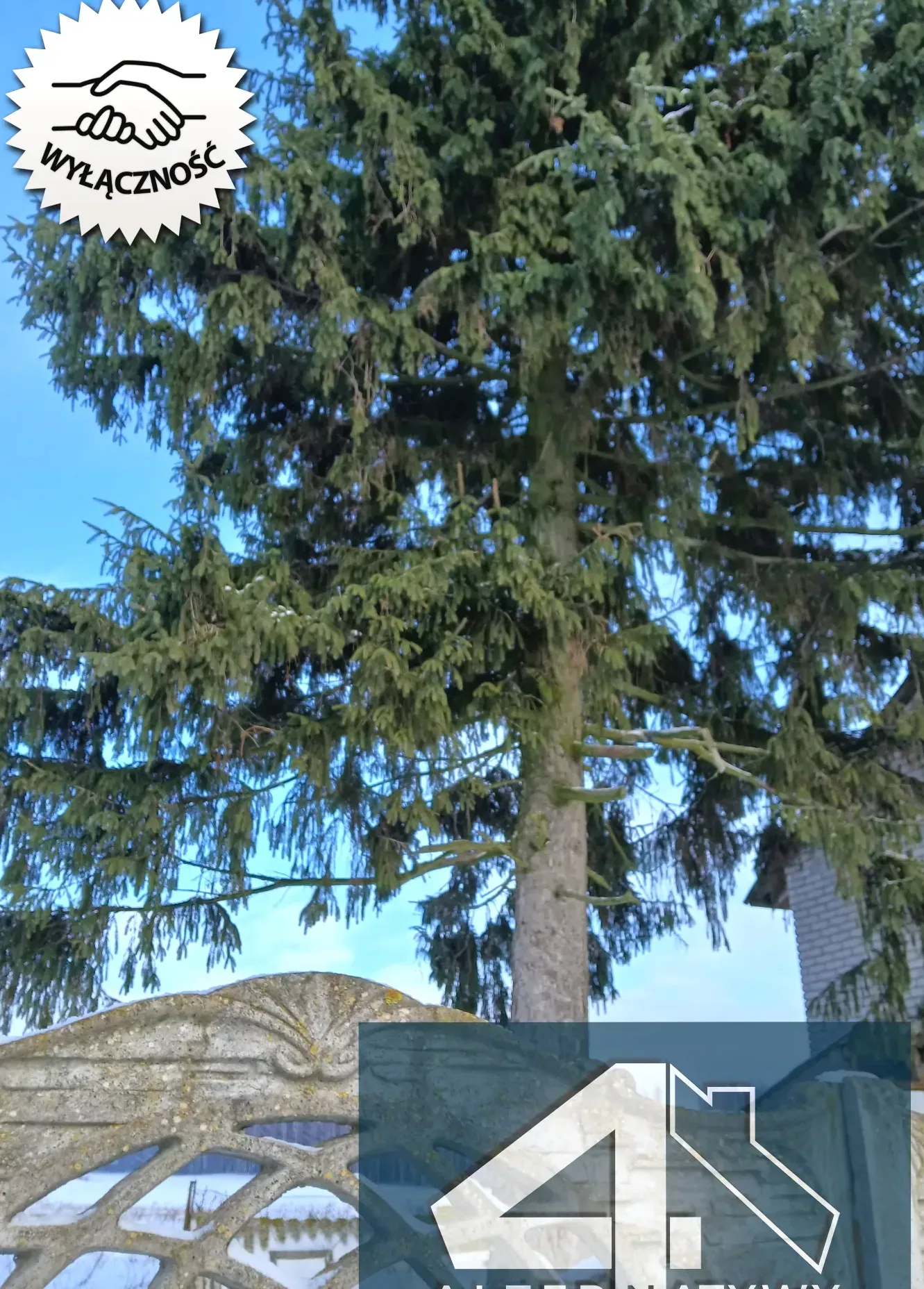 Stodoła na dom i  prawie 3 hektary ziemi. 4