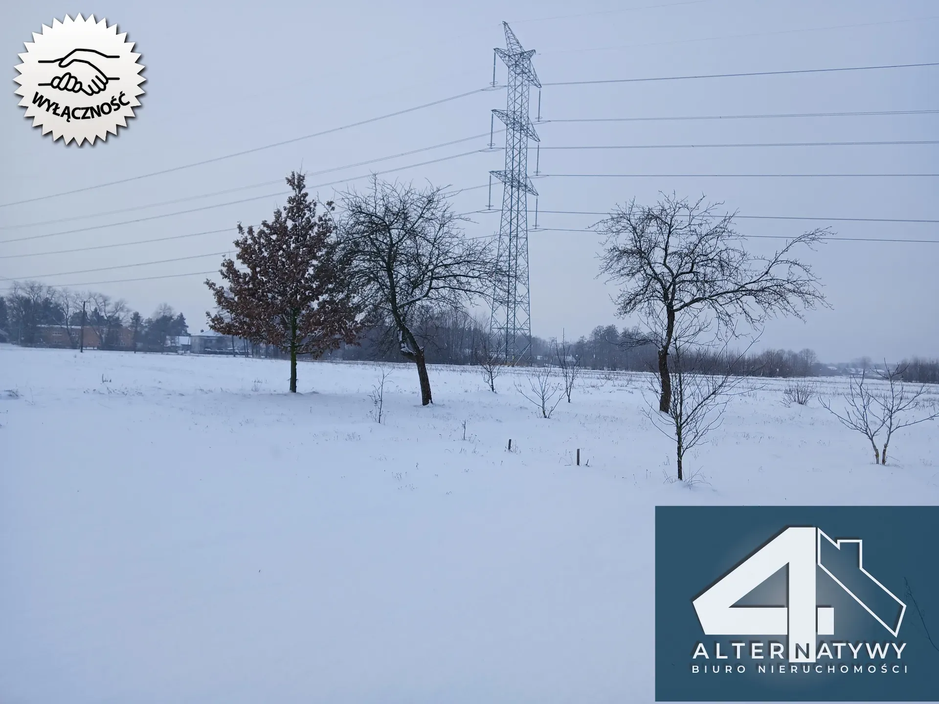 Stodoła na dom i  prawie 3 hektary ziemi. 5