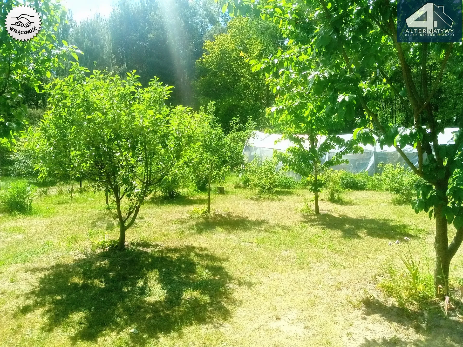 Przytulny dom - leśne otoczenie 13