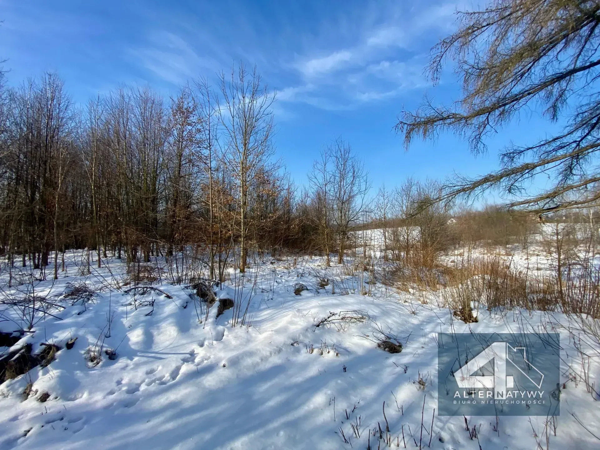 30 arów blisko Krakowa! 2